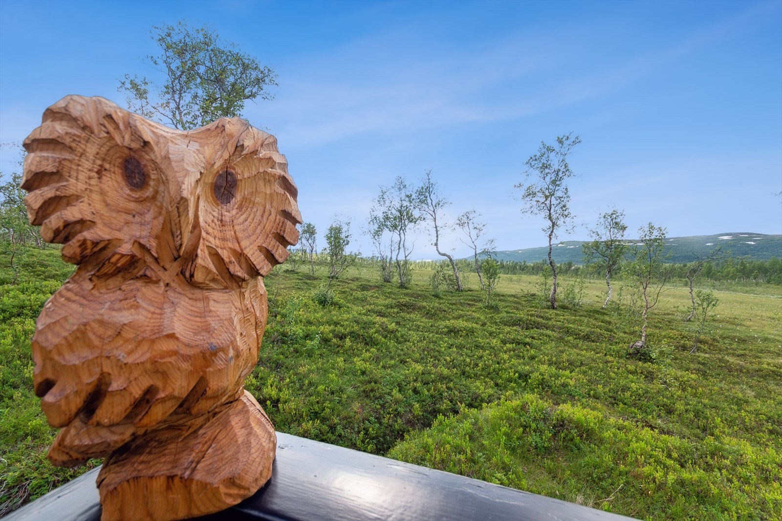 Nydelig ugle - En slik detalj gjør terrassen til et sted med personlighet og varme! Galleribilde