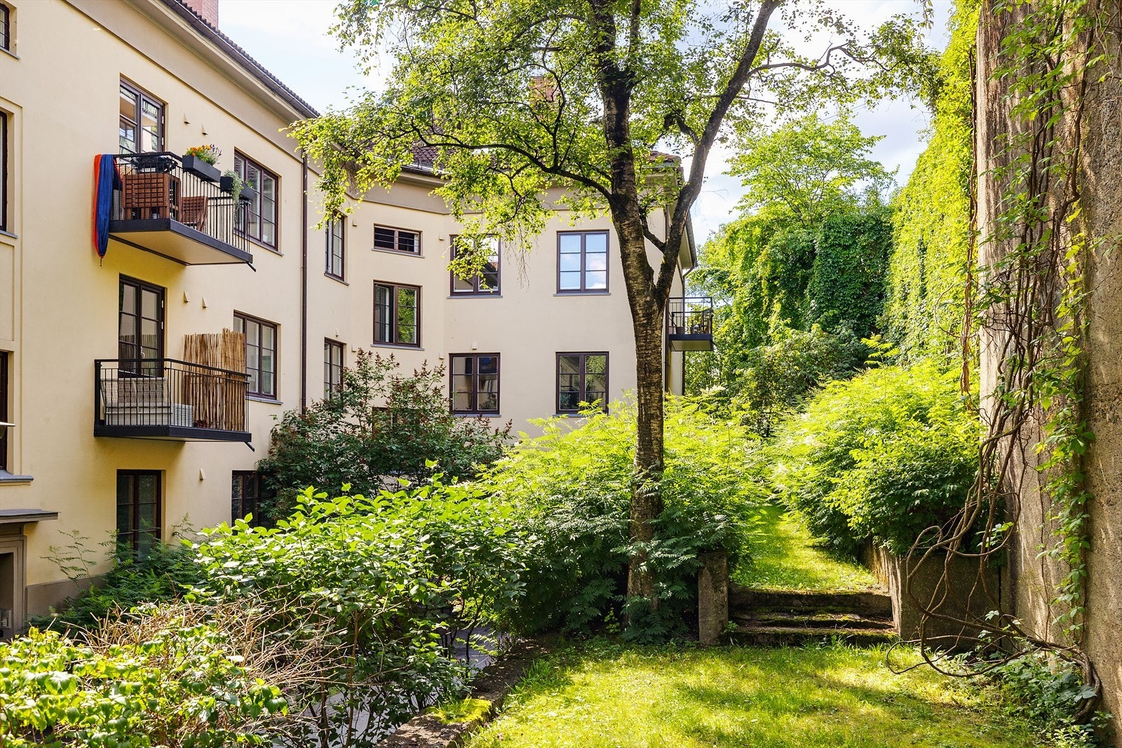 Skjermet, frodig og grønn bakgård. Galleribilde