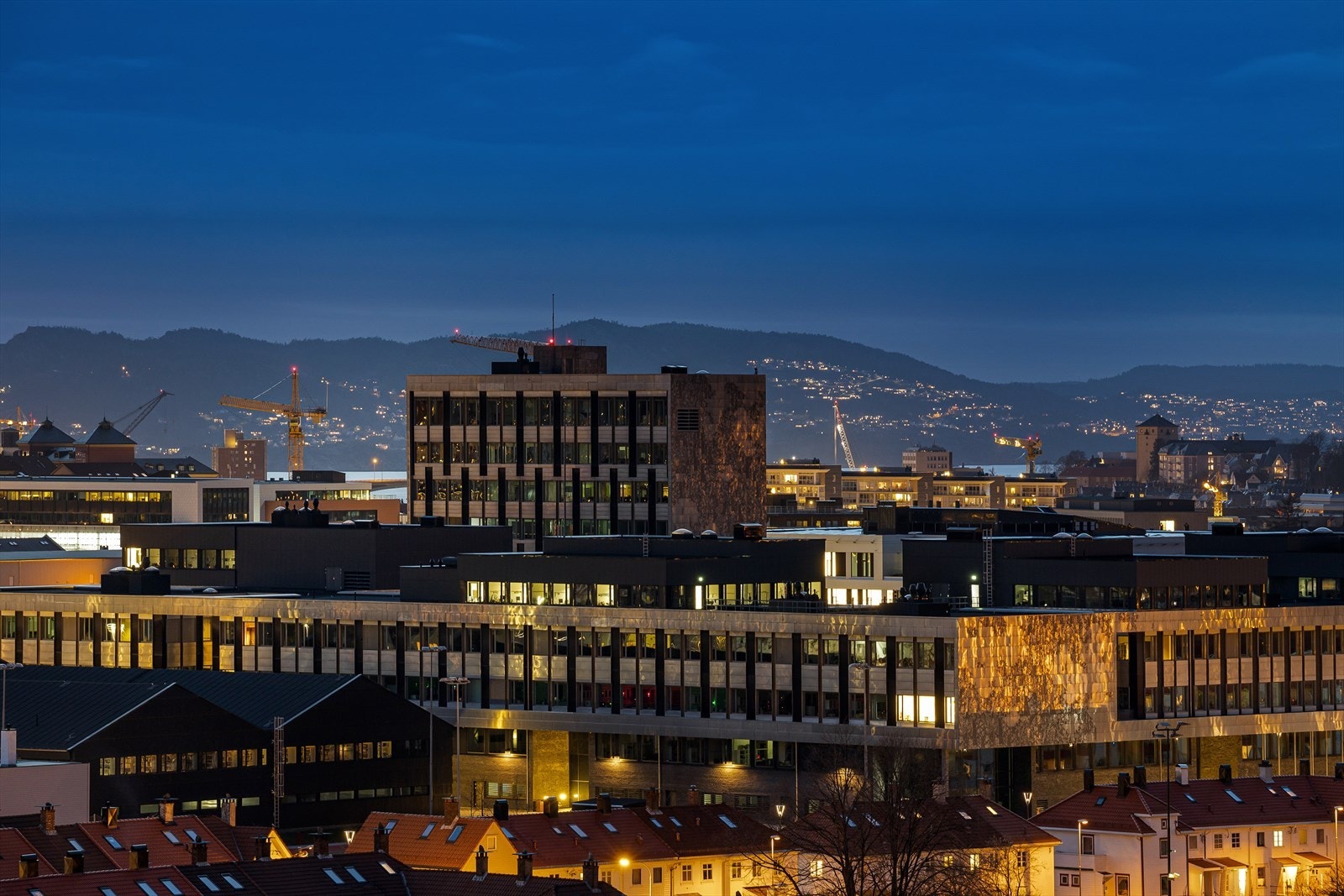 Flere store arbeidsplasser og studiesteder like i nærheten. Galleribilde
