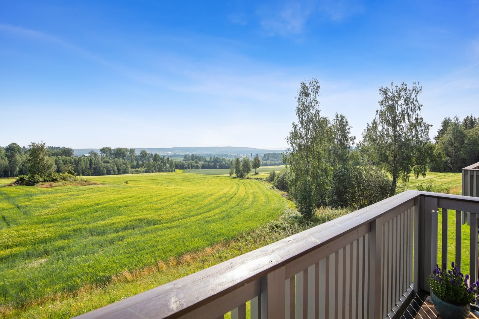 En perfekt ramme for rolige stunder. Galleribilde