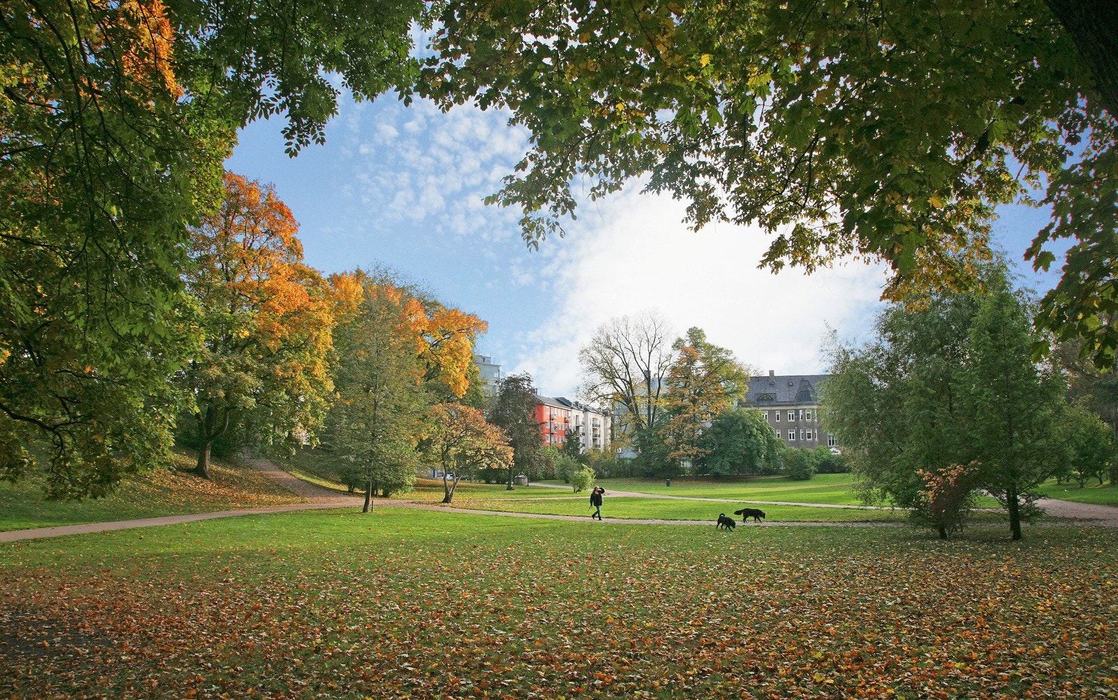 Frognerparken | Nærområdet Galleribilde