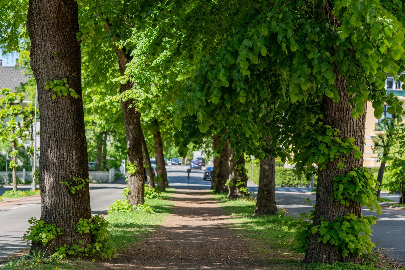 Gyldenløves gate | Nærområdet Galleribilde