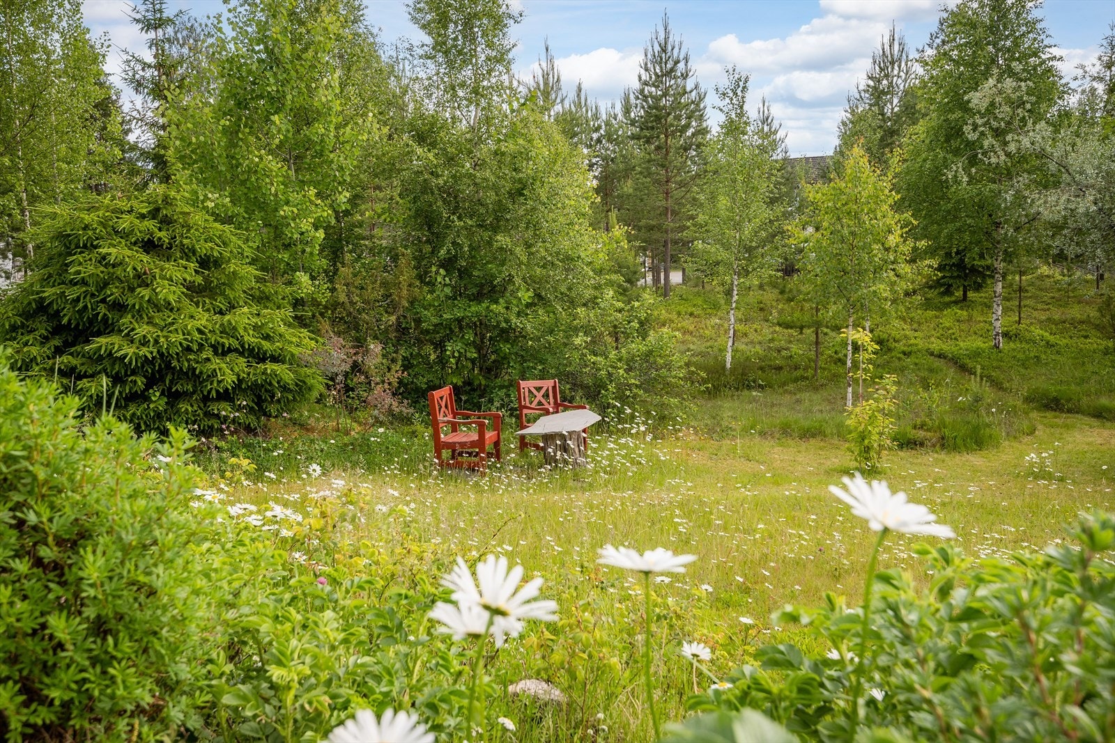 Eiertomt på ca. 4 878,7m² dels med naturtomt med stedets vegetasjon. Galleribilde