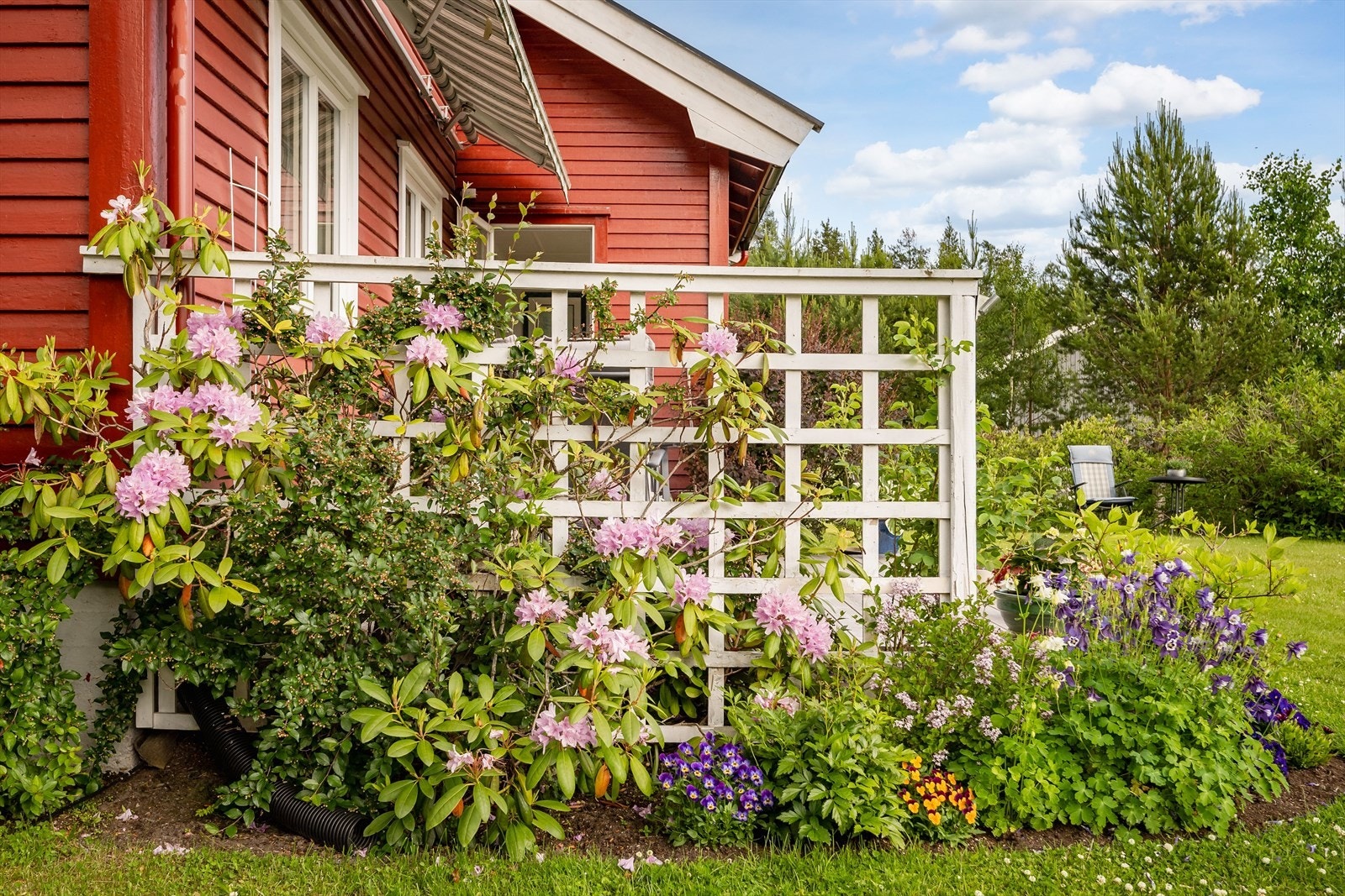 Nydelig hage med et godt variert utvalg av vakre blomster og annet beplantning. Galleribilde