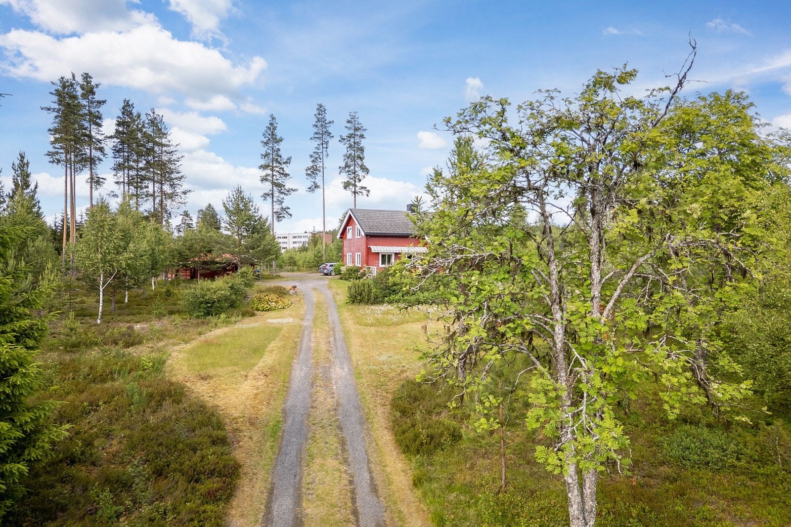 Like ved eiendommen starter en skogsti som tar deg opp til bymarka i Svartholtet. Svartholtet er kjent for sine gode aktivitetsmuligheter gjennom hele året. Her er det myke skogstier i et stort nettverk som innbyr til både turer, løping, sykling og ski. Galleribilde