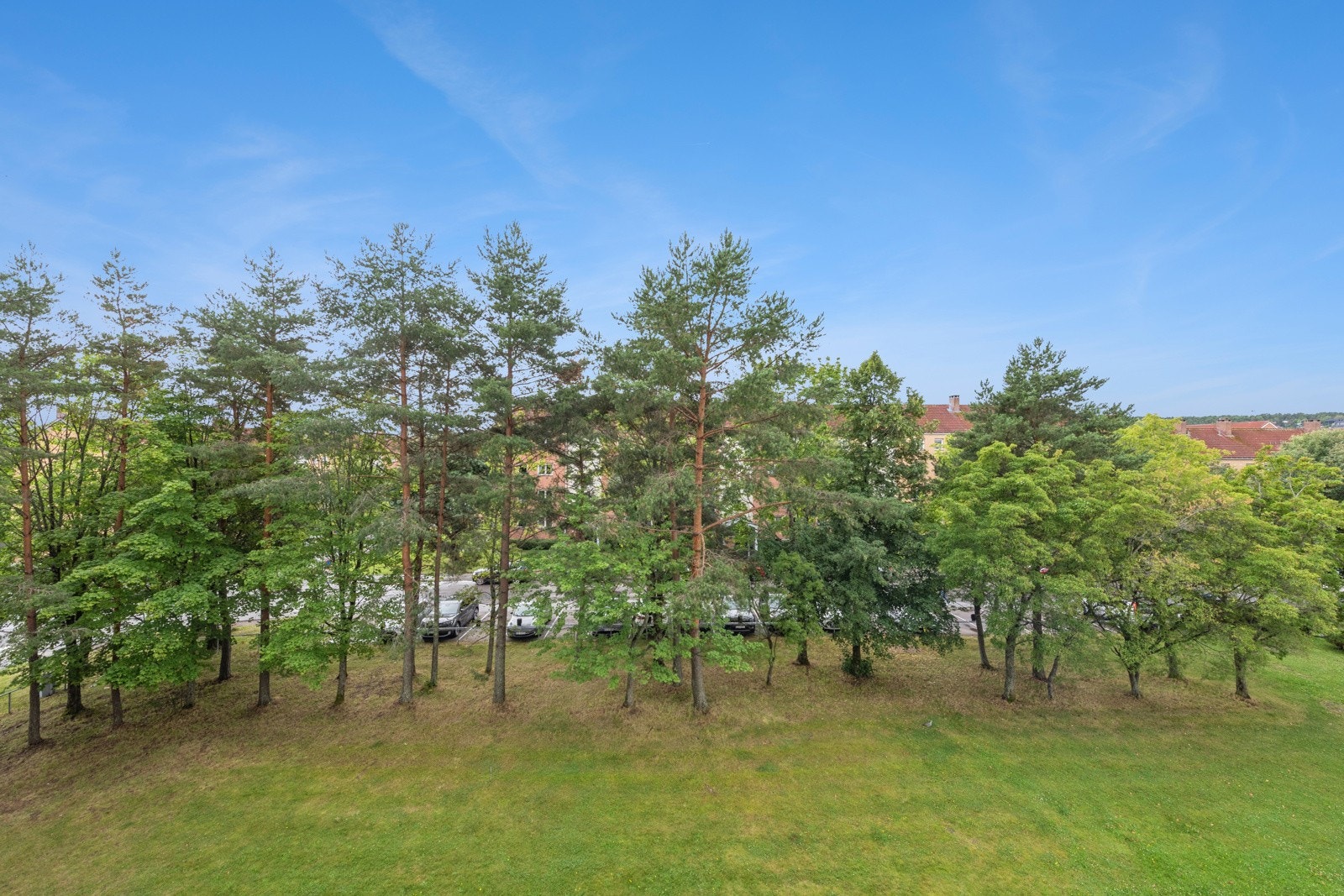 Utsikt mot grønne omgivelser. Galleribilde