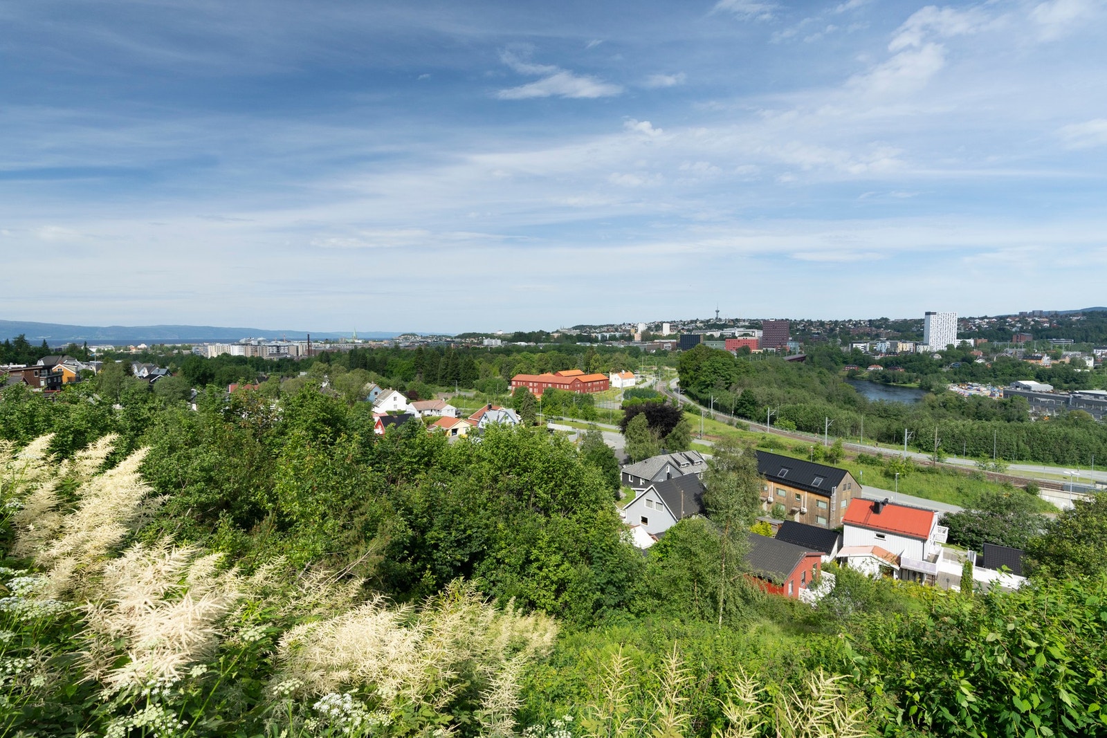 Flott utsikt. Galleribilde