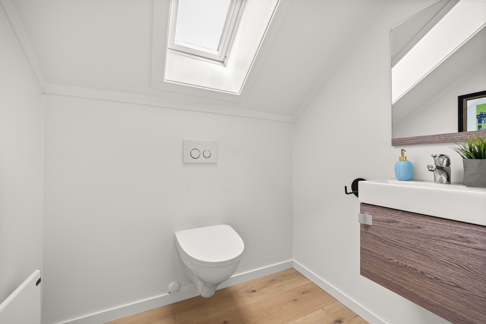 Separat toalett. Galleribilde