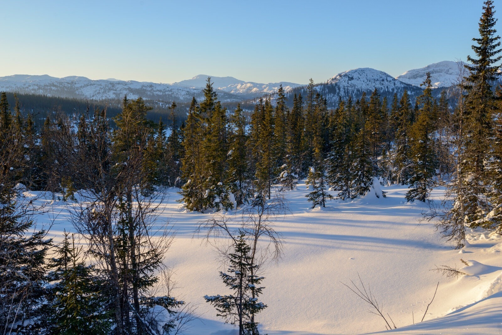 Åpne tomter med flott utsikt og gode solforhold. Her fra tomt M1. Galleribilde