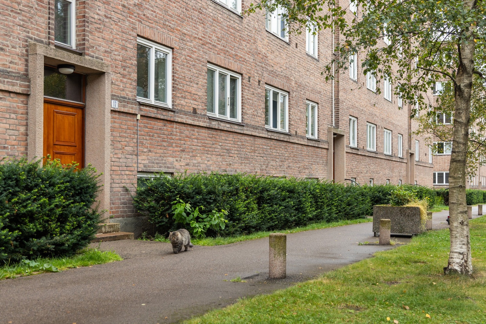 Velkommen til en hyggelig visning! Galleribilde