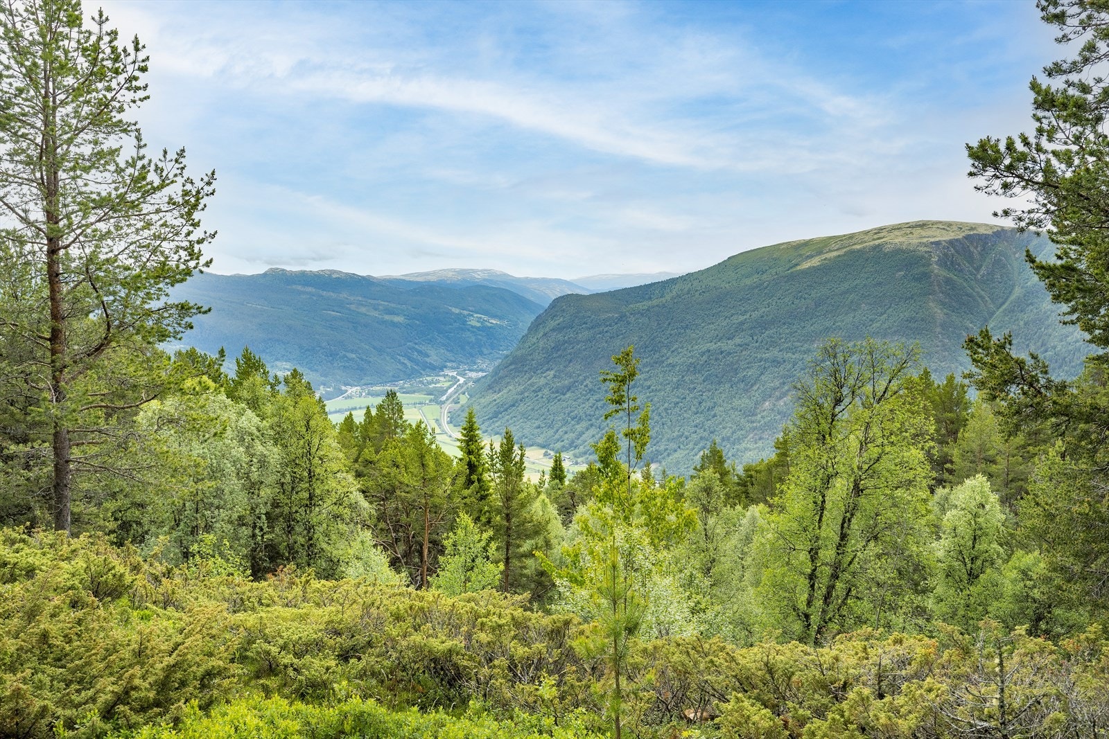 Her kan man nyte utsikten. Galleribilde
