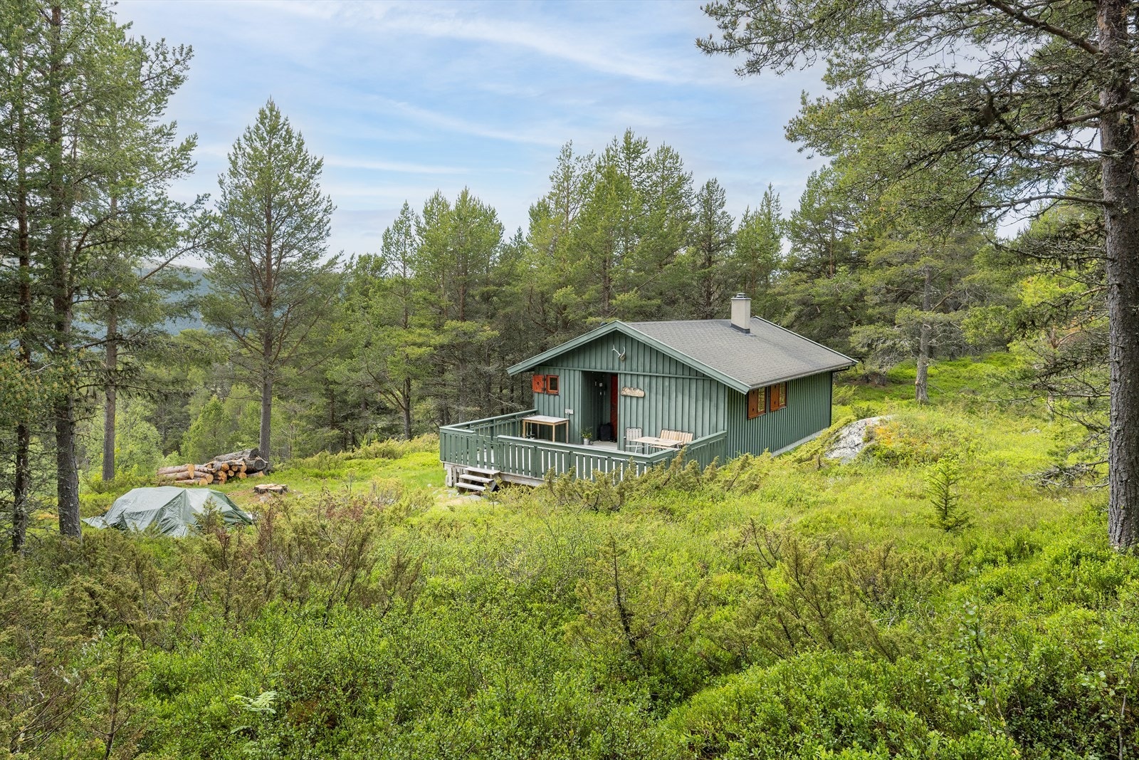 Velkommen på visning. Husk å melde deg på. Galleribilde
