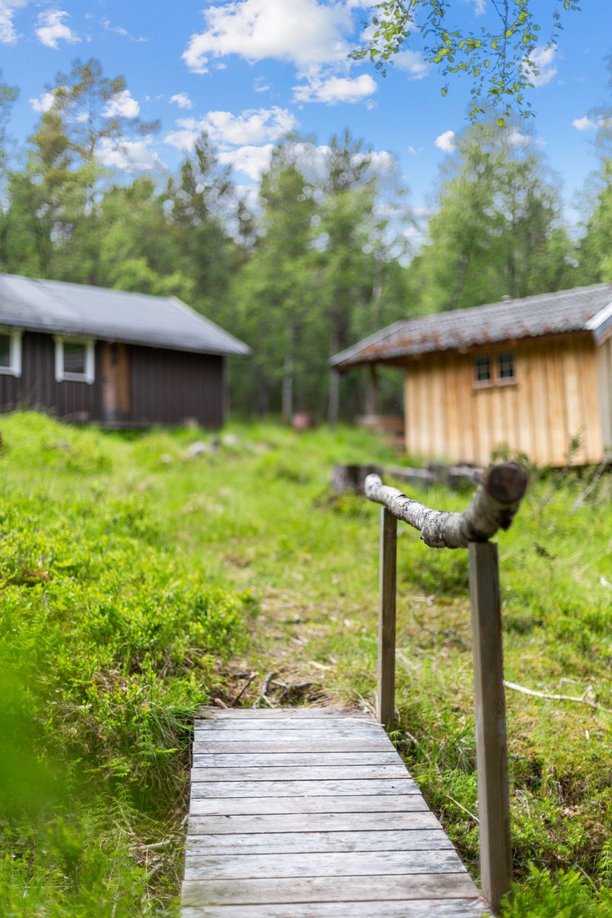 Detaljbilde. Galleribilde