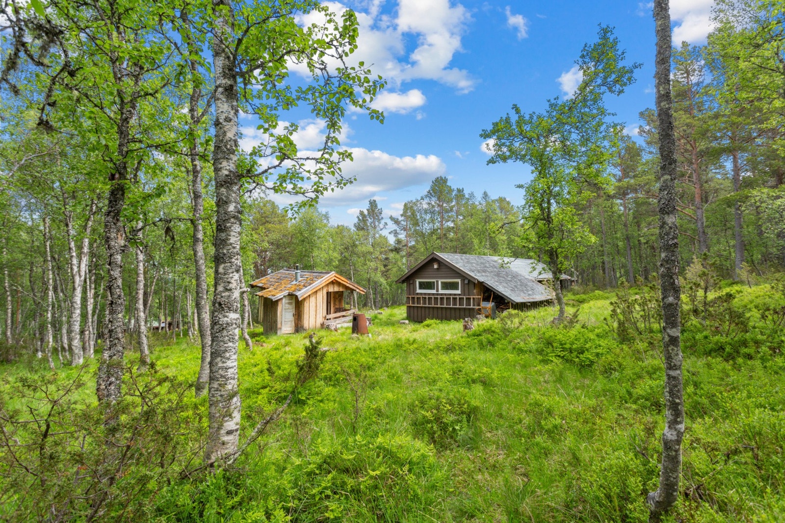 Fasade. Galleribilde