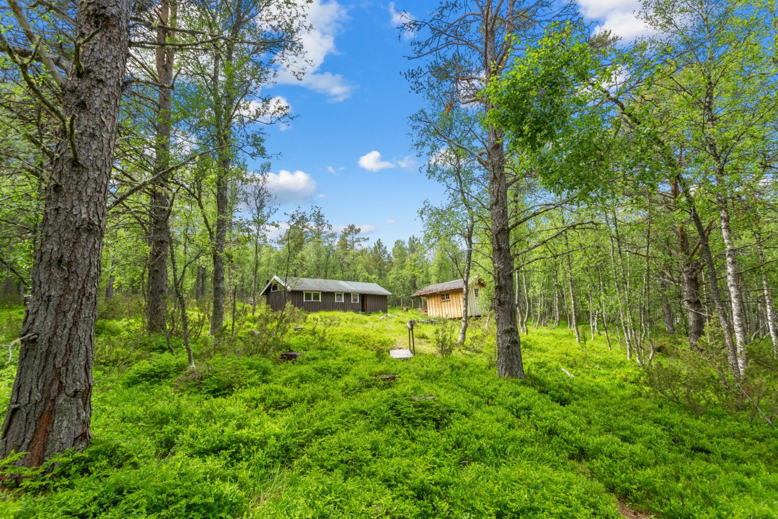 Ellers er det et meget flott område for sykling på sommerstid. Nærområdet byr på noen av Oppdals beste skiopplevelser i preparerte skiløyper. Galleribilde