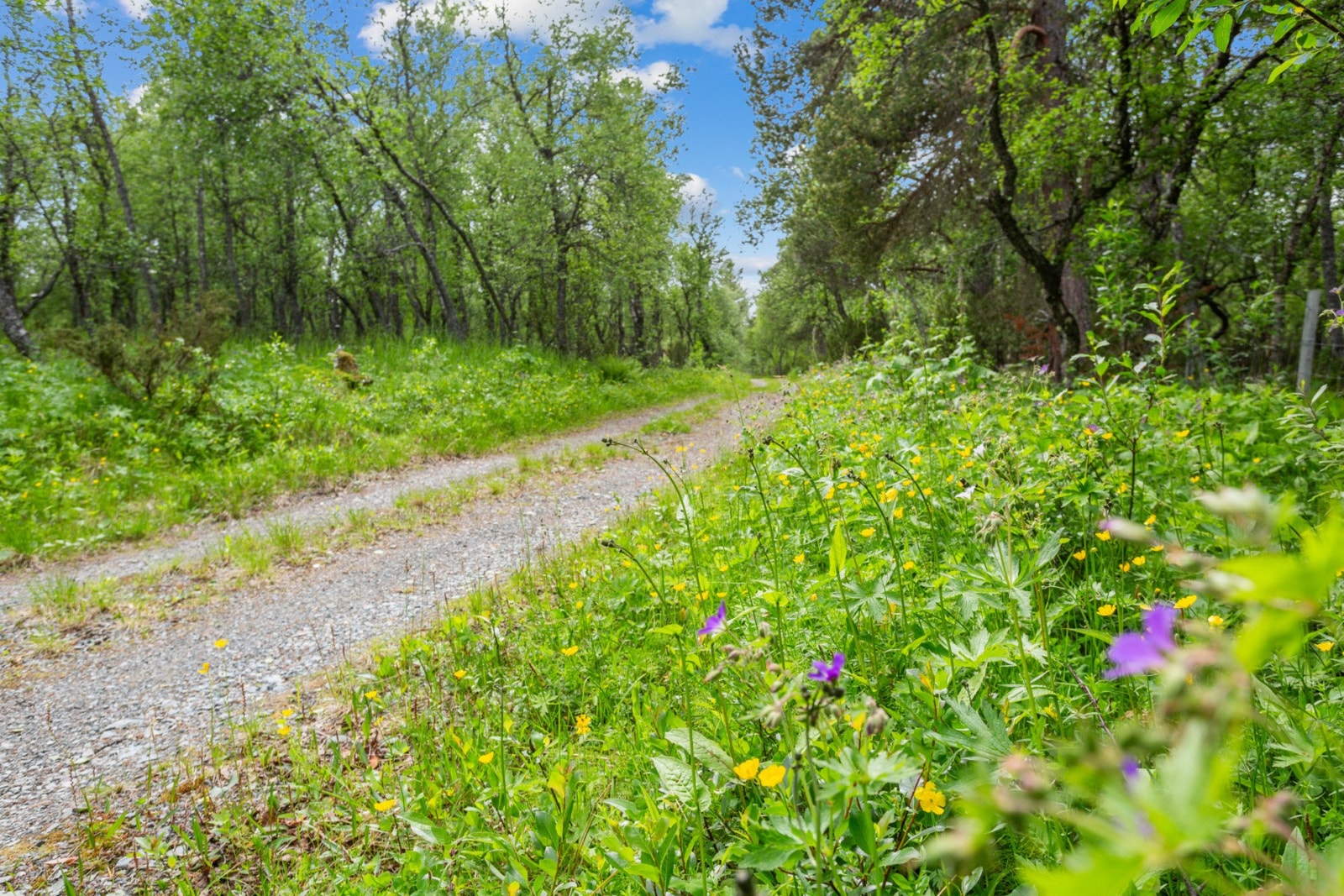 Sommerstid har man bilvei til hytta på felles oppstillingsplass. Om vinteren er det felles oppstillingsplass ca. 20 minutters skitur fra hytta. Galleribilde