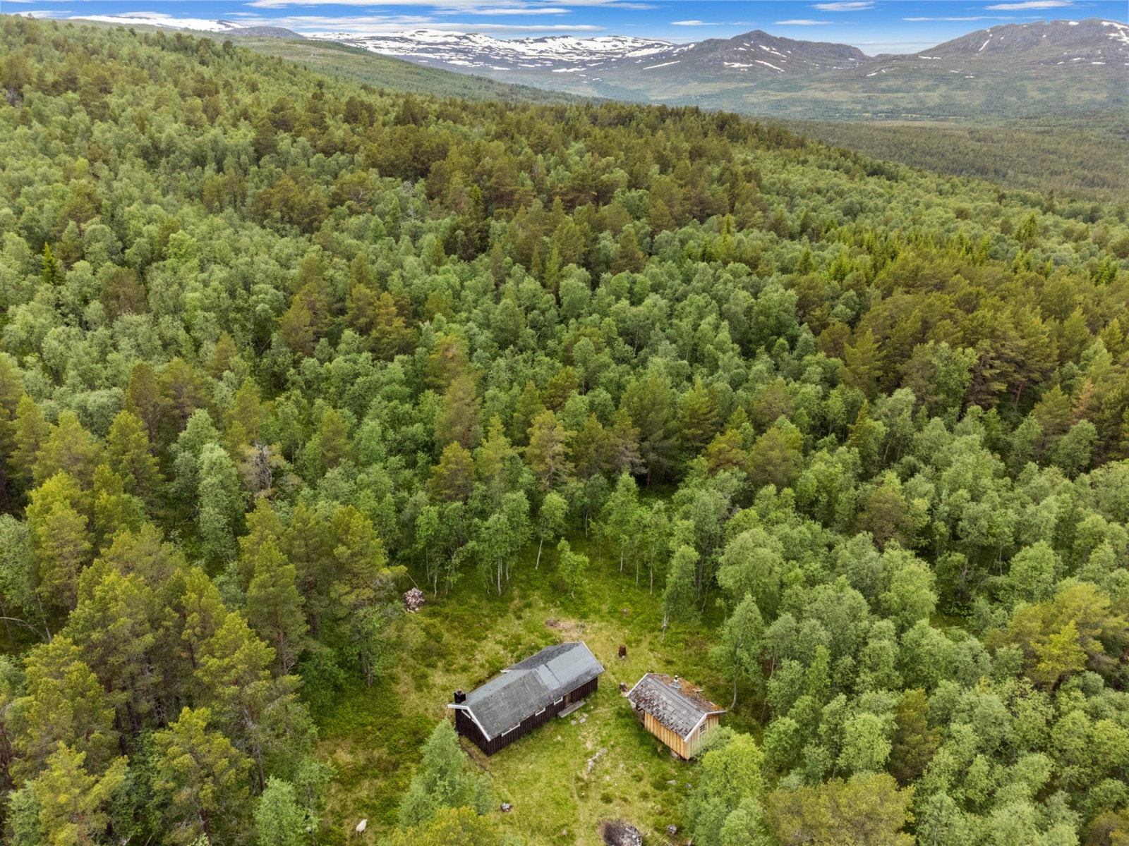 Omgivelsene. Galleribilde