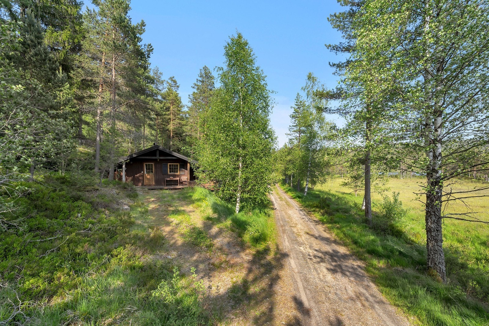 Grusvei inn til hytta Galleribilde