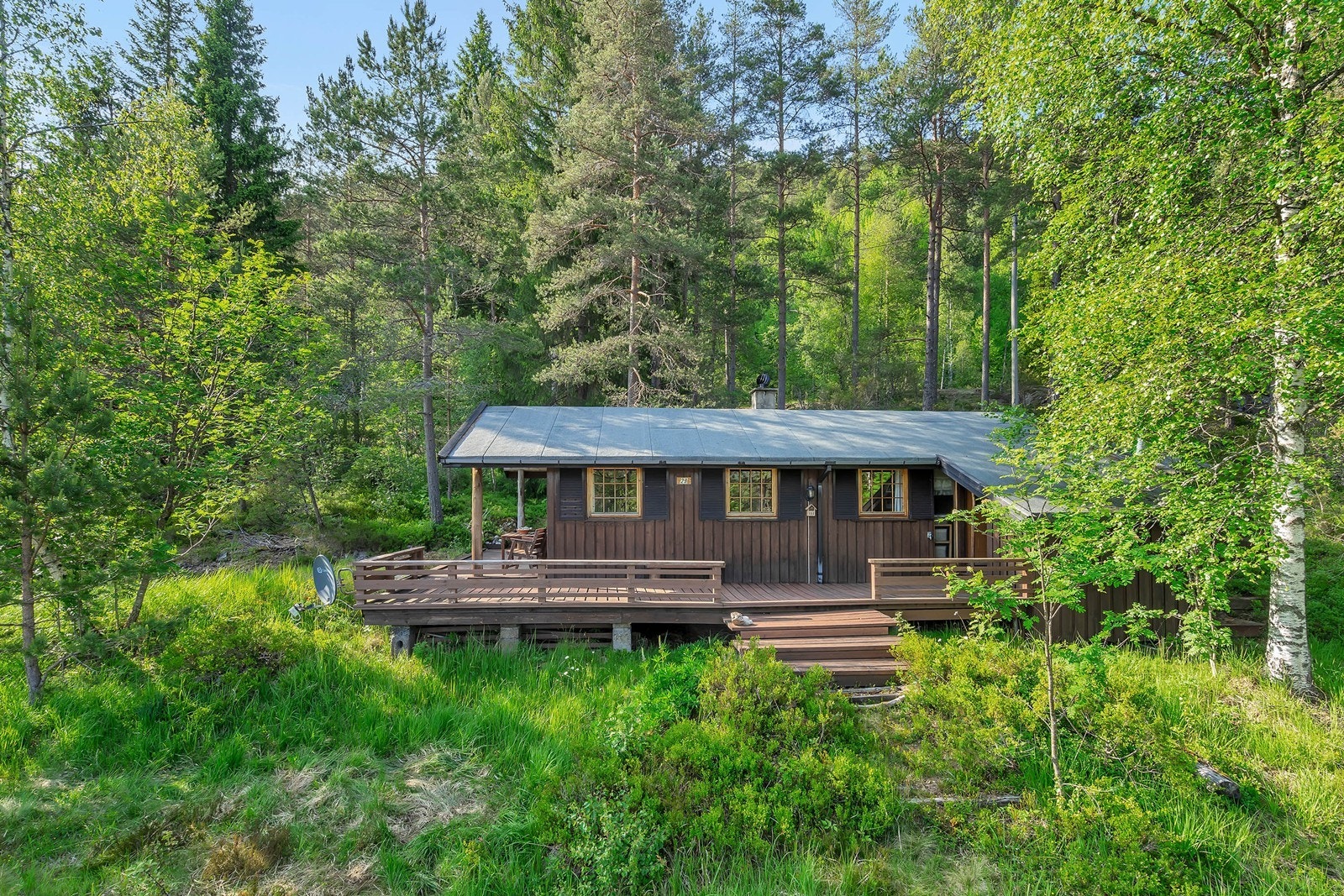 Gode solforhold Galleribilde