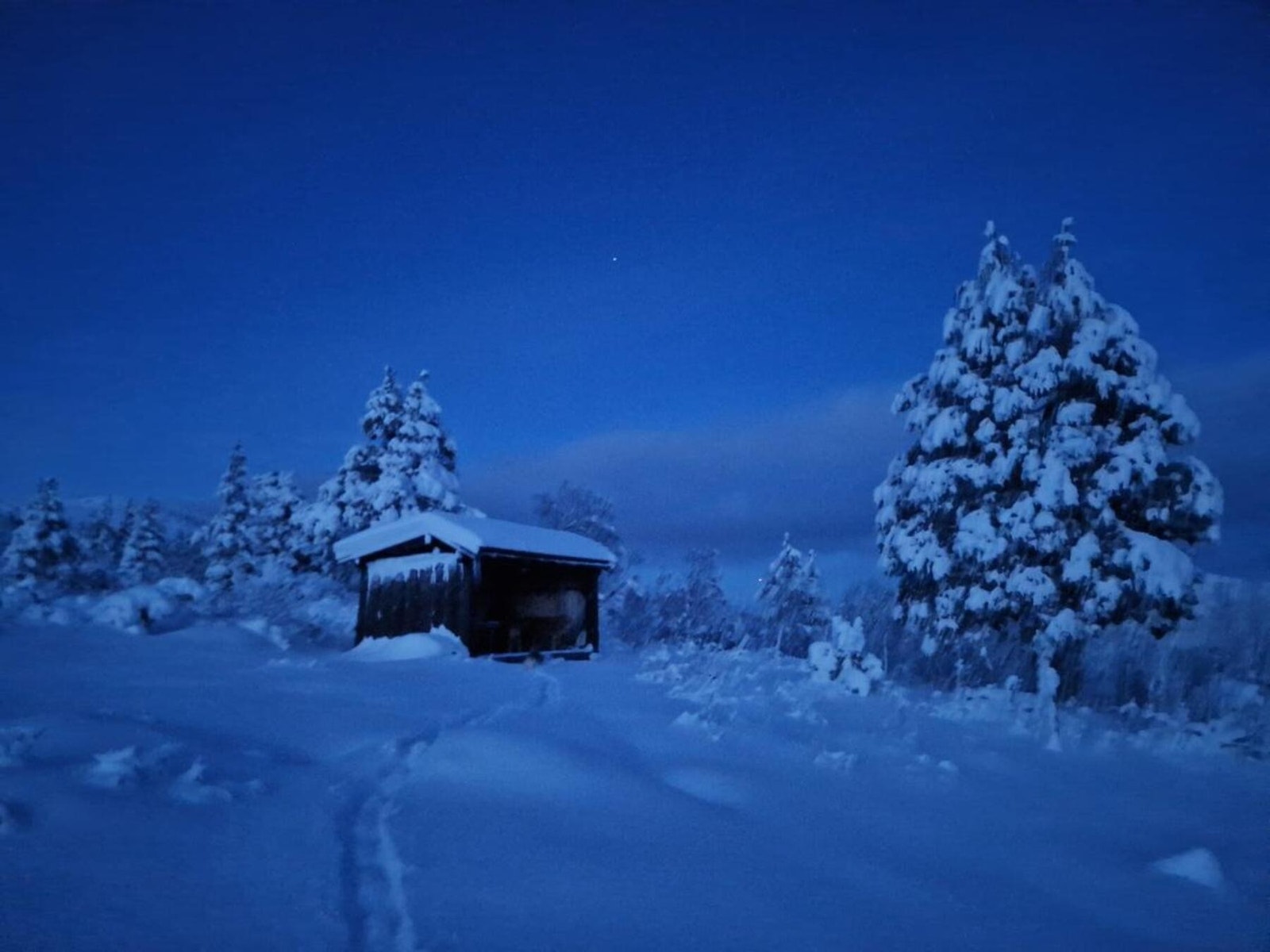 Nærområdet Galleribilde