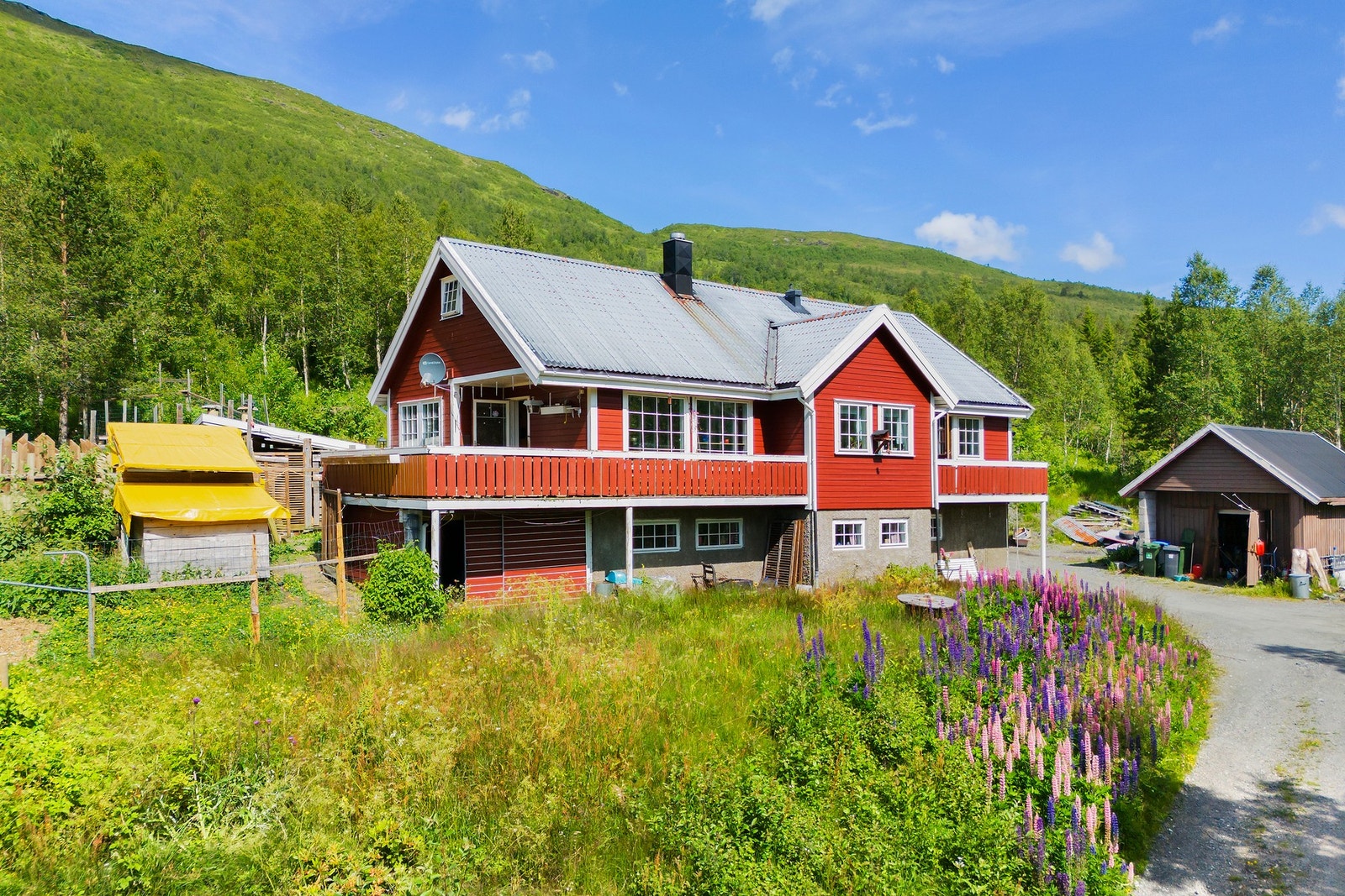 Velkommen på visning! Galleribilde