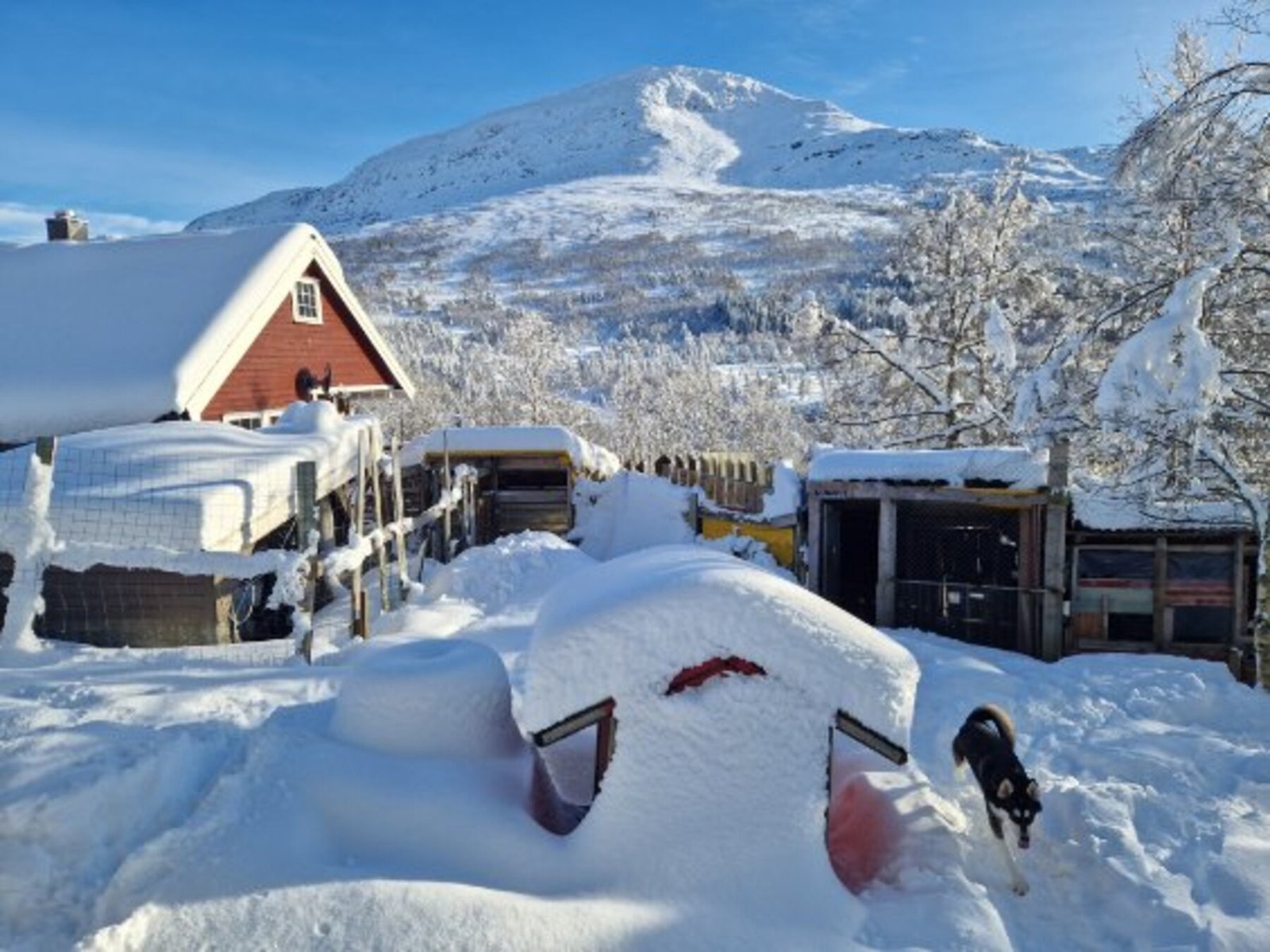 Stemningsbilde fra selger Galleribilde