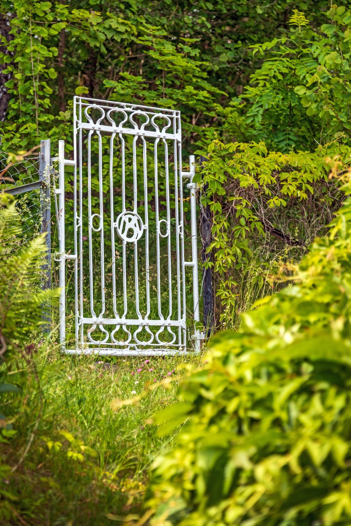 Privat port til Kongeskogen. Galleribilde