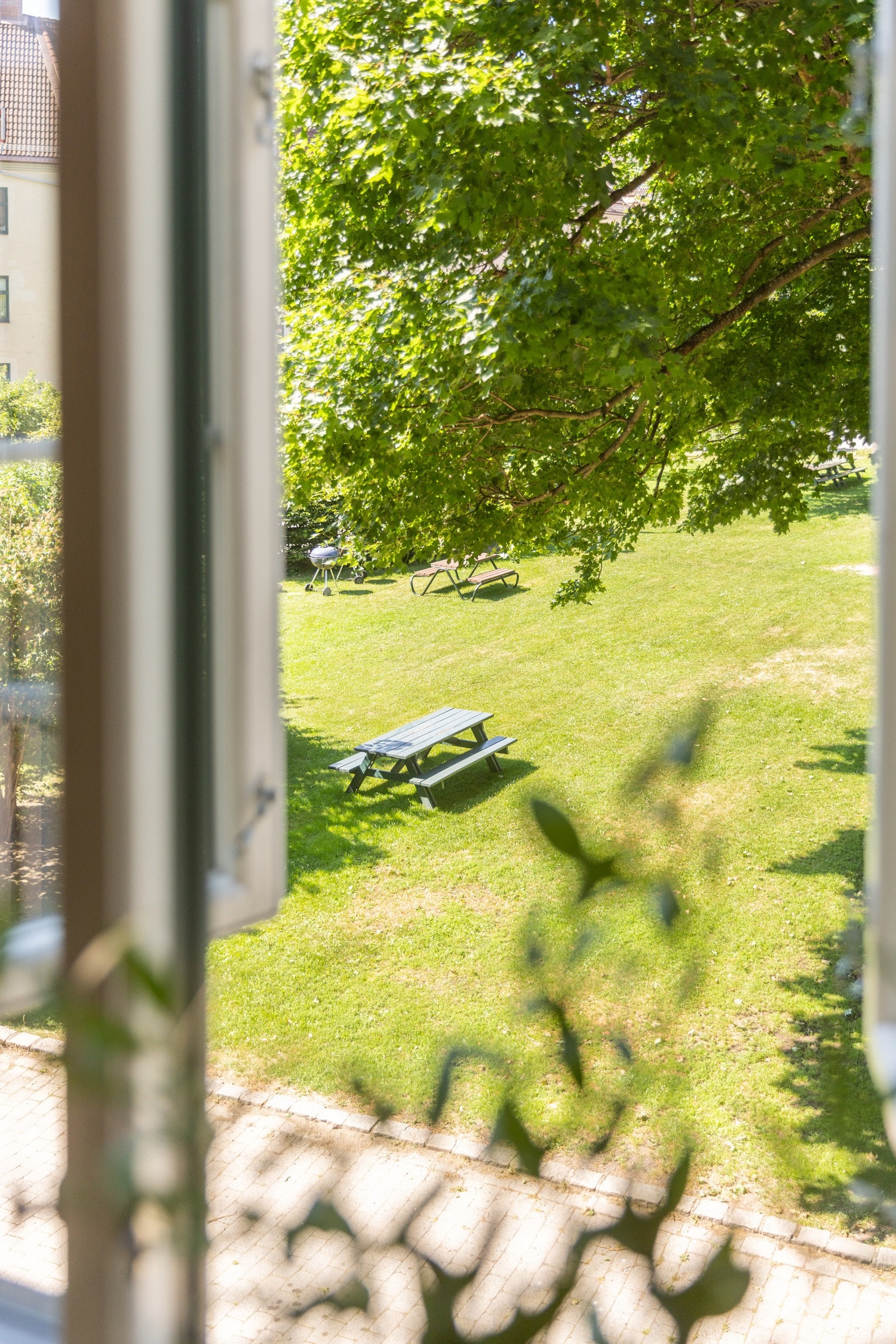 Fra kjøkkenet har du utsyn ut mot borettslagets nydelige og frodige bakgård. Galleribilde