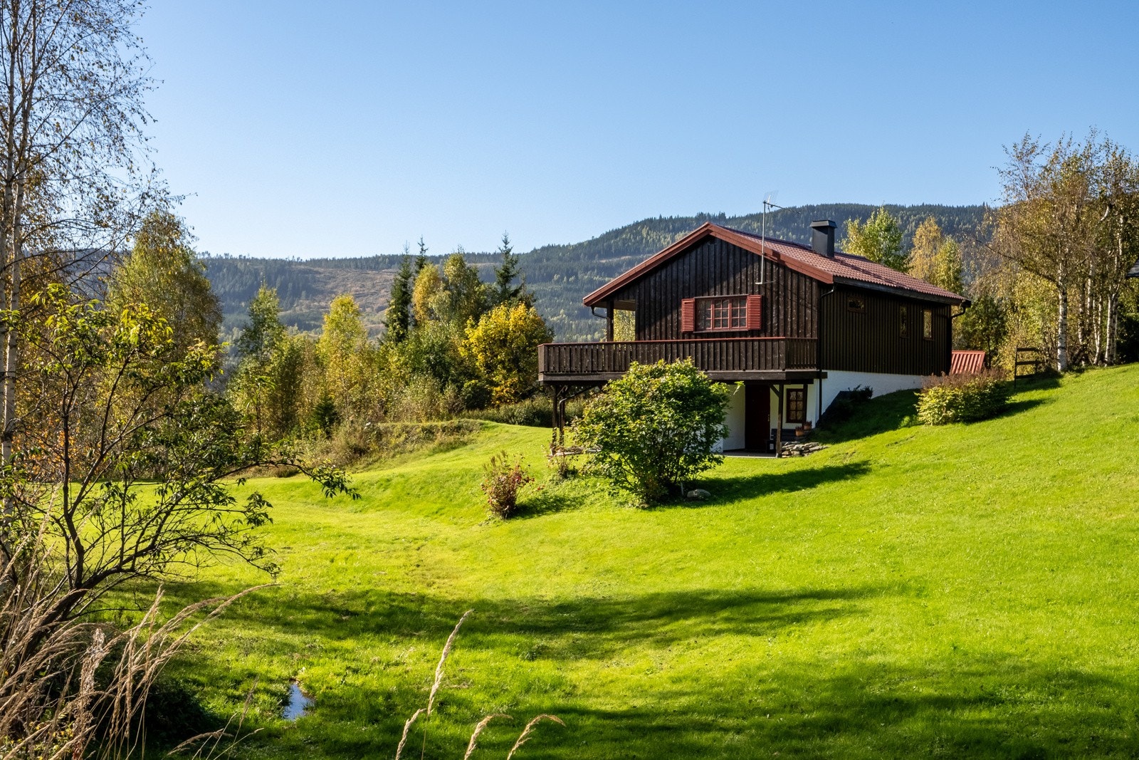 Idyllisk plassering i landlige omgivelser. Galleribilde