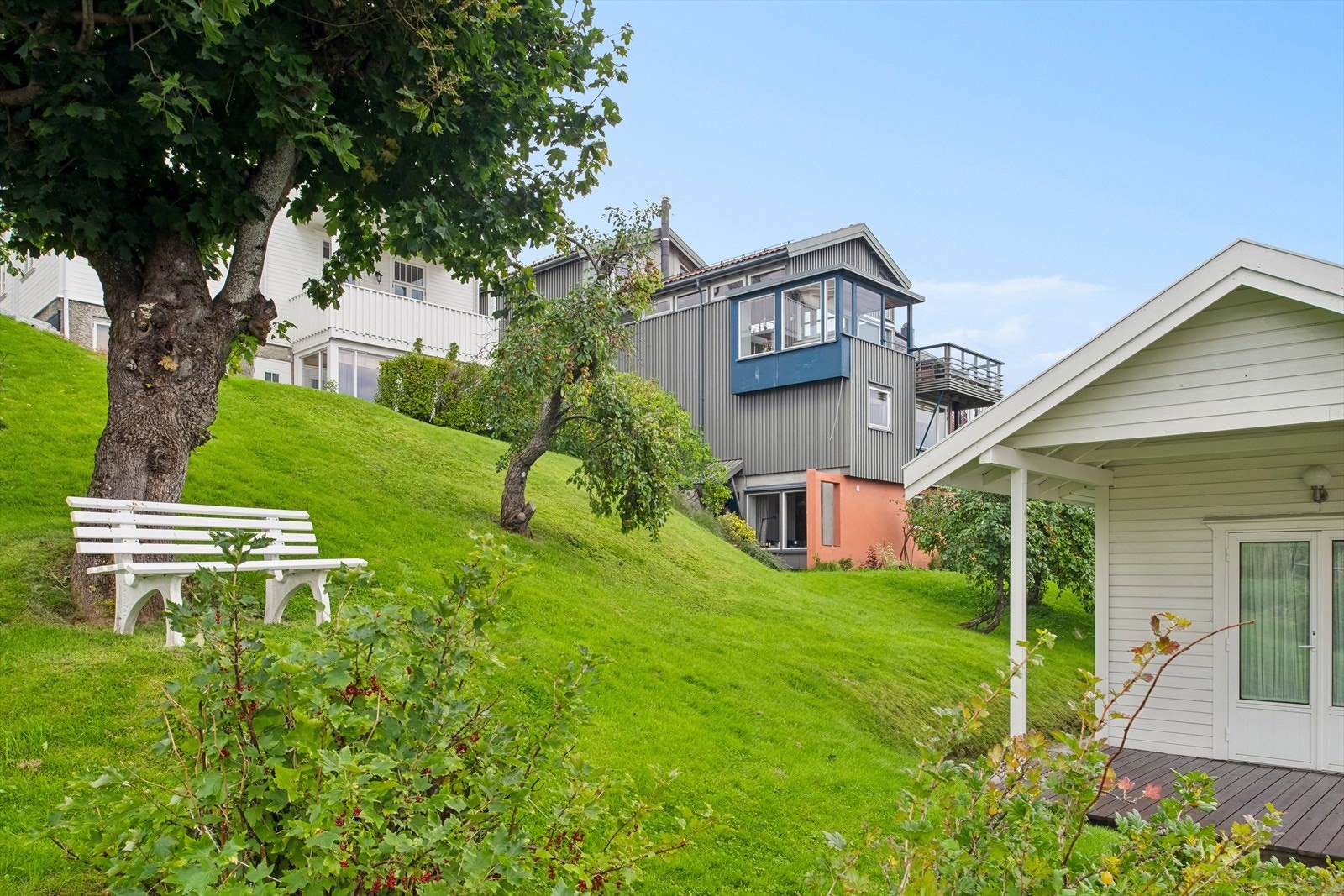 Hagen er frodig og grønn med både bærtrær og prydbusker Galleribilde