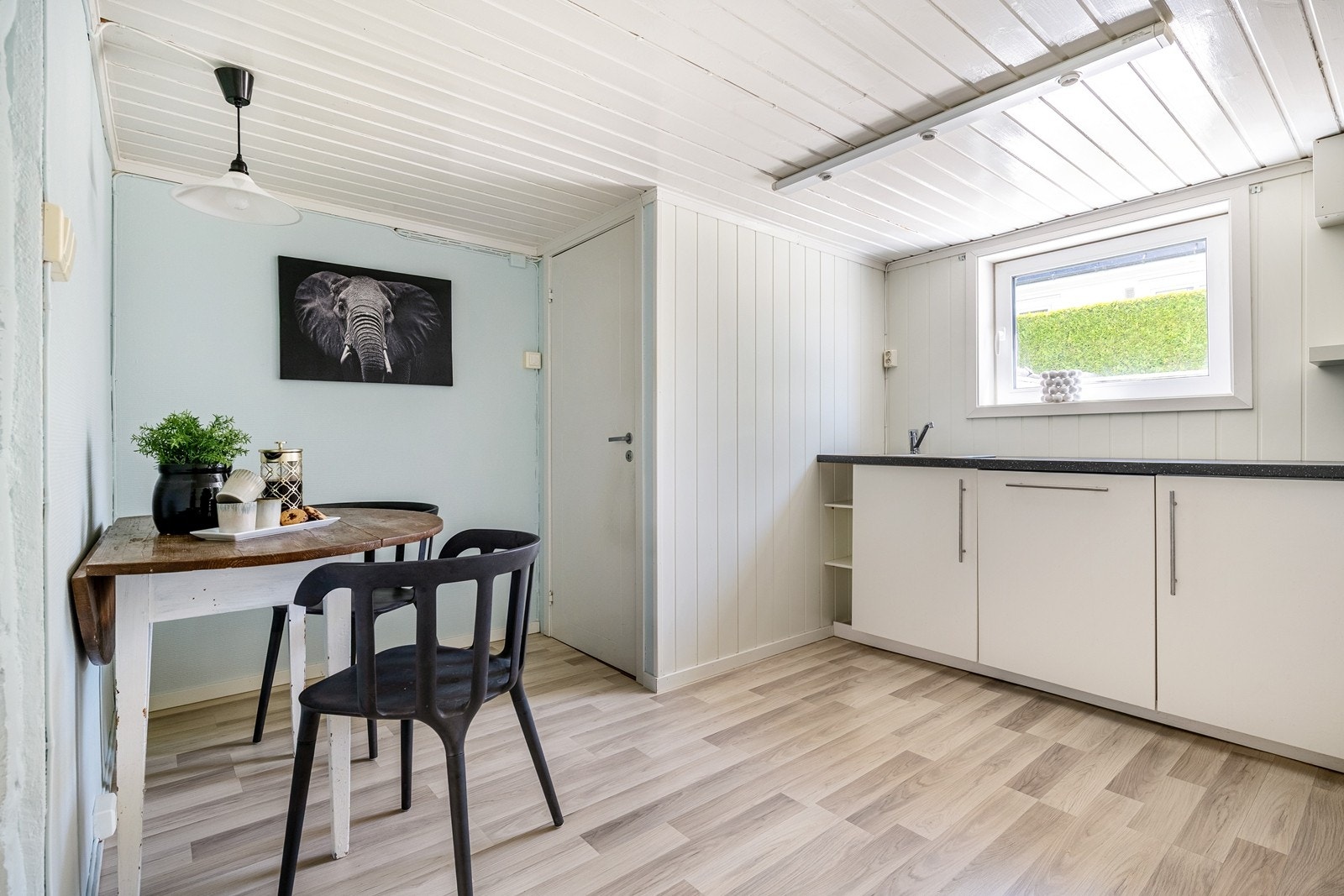 En meget lys og trivelig hybel i kjelleren. Galleribilde