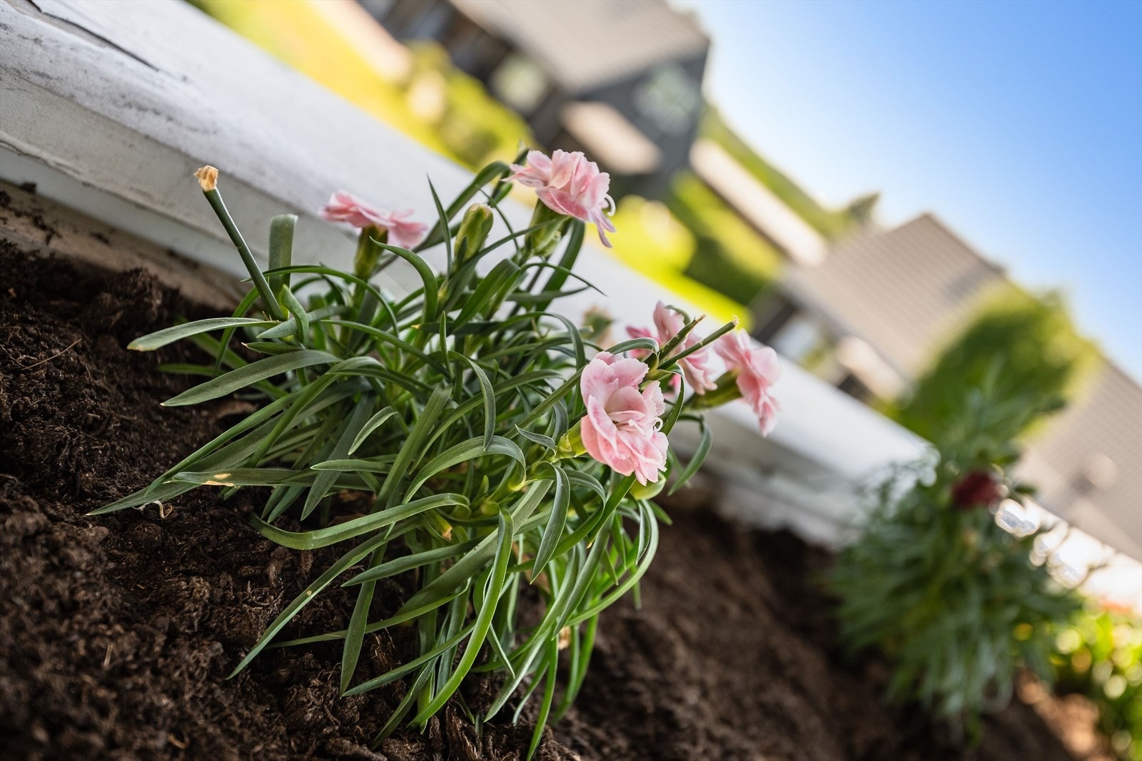 Beliggenheten mot syd sørger for gode solforhold på balkongen. Galleribilde