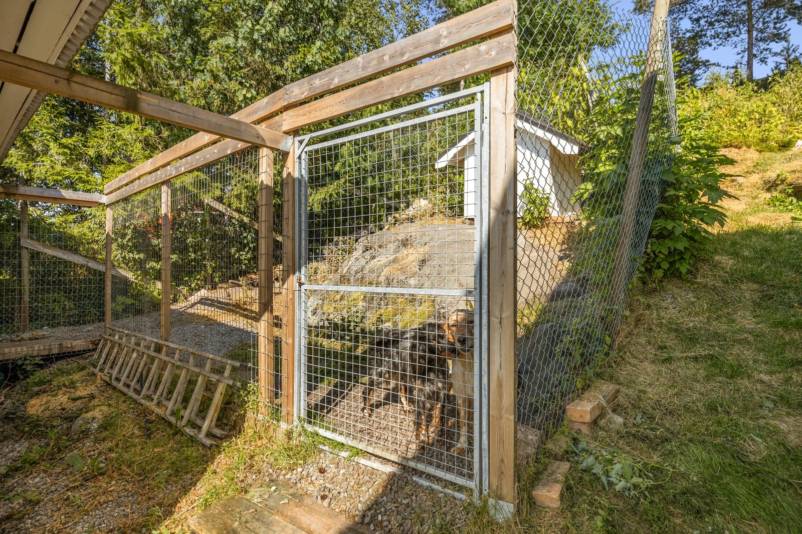 Hundegård medfølger. Galleribilde