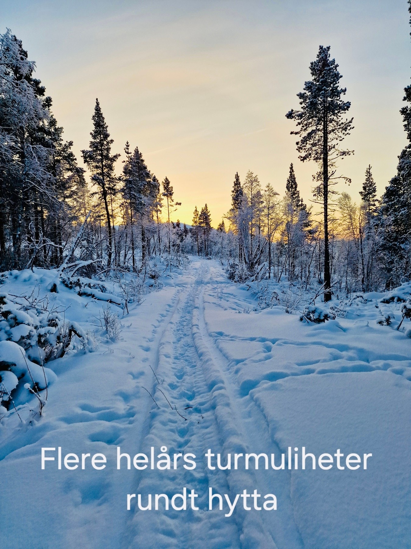 Selgers bilde. Galleribilde