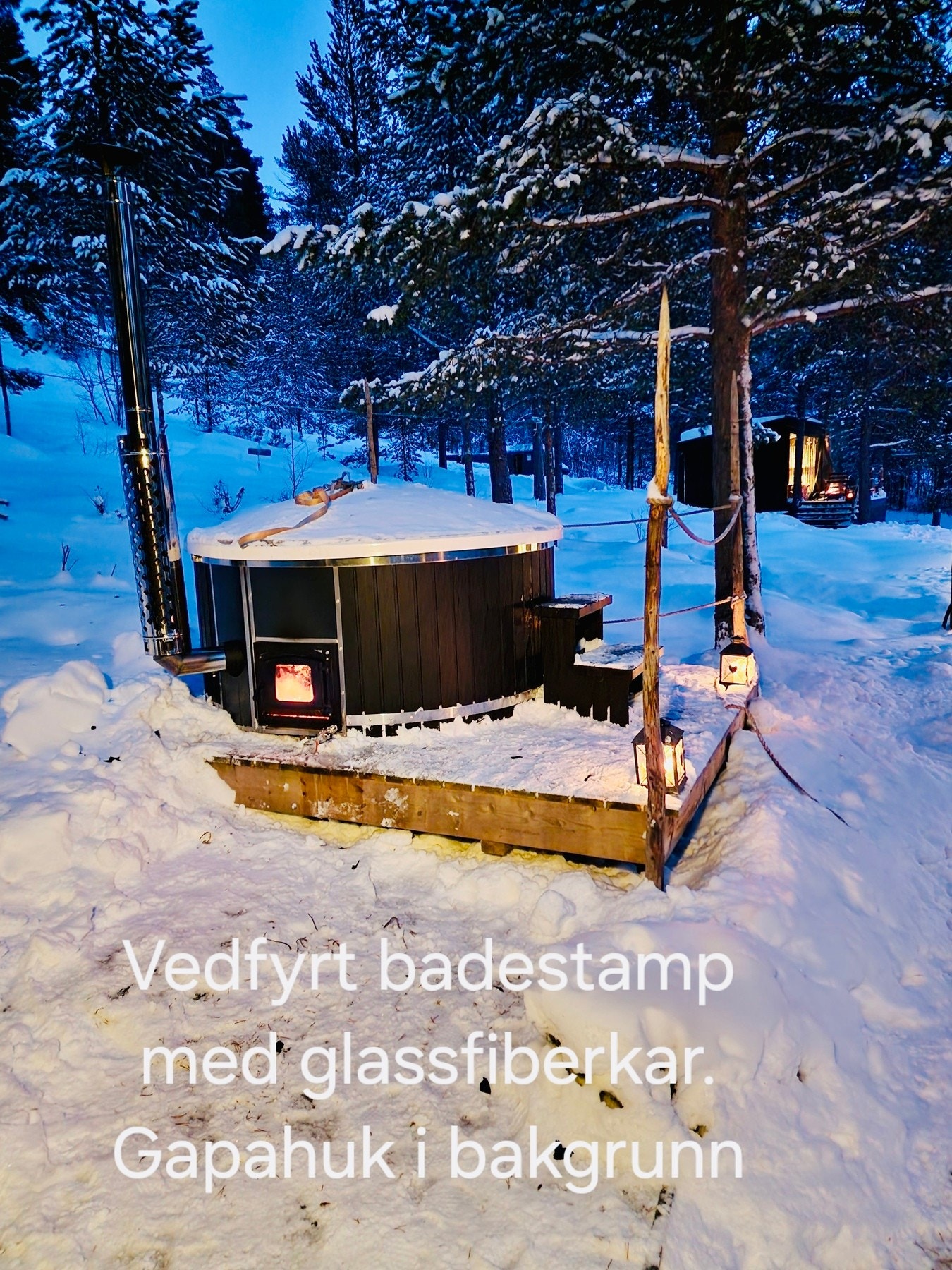 Selgers bilde. Galleribilde