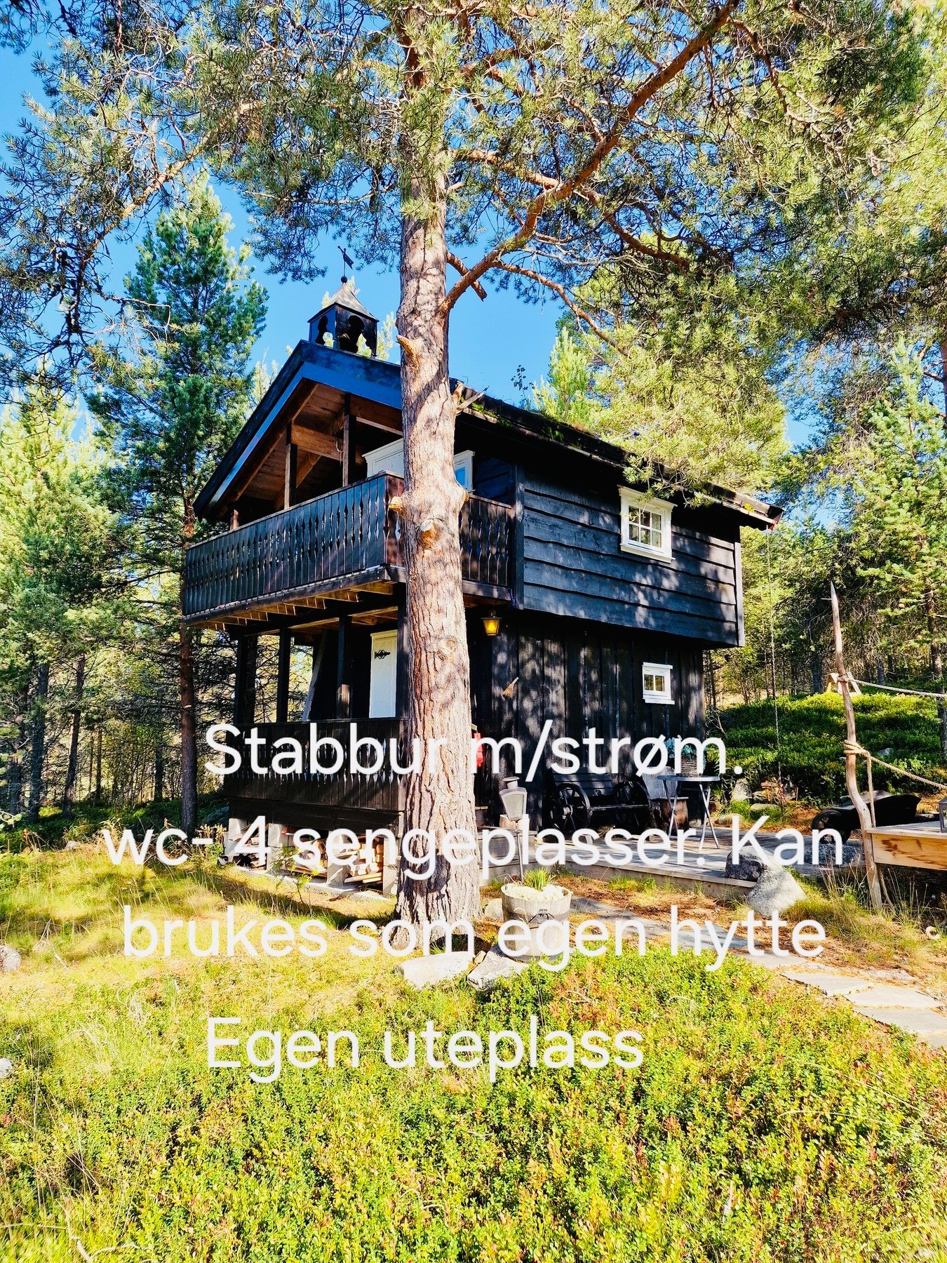 Selgers bilde. Galleribilde