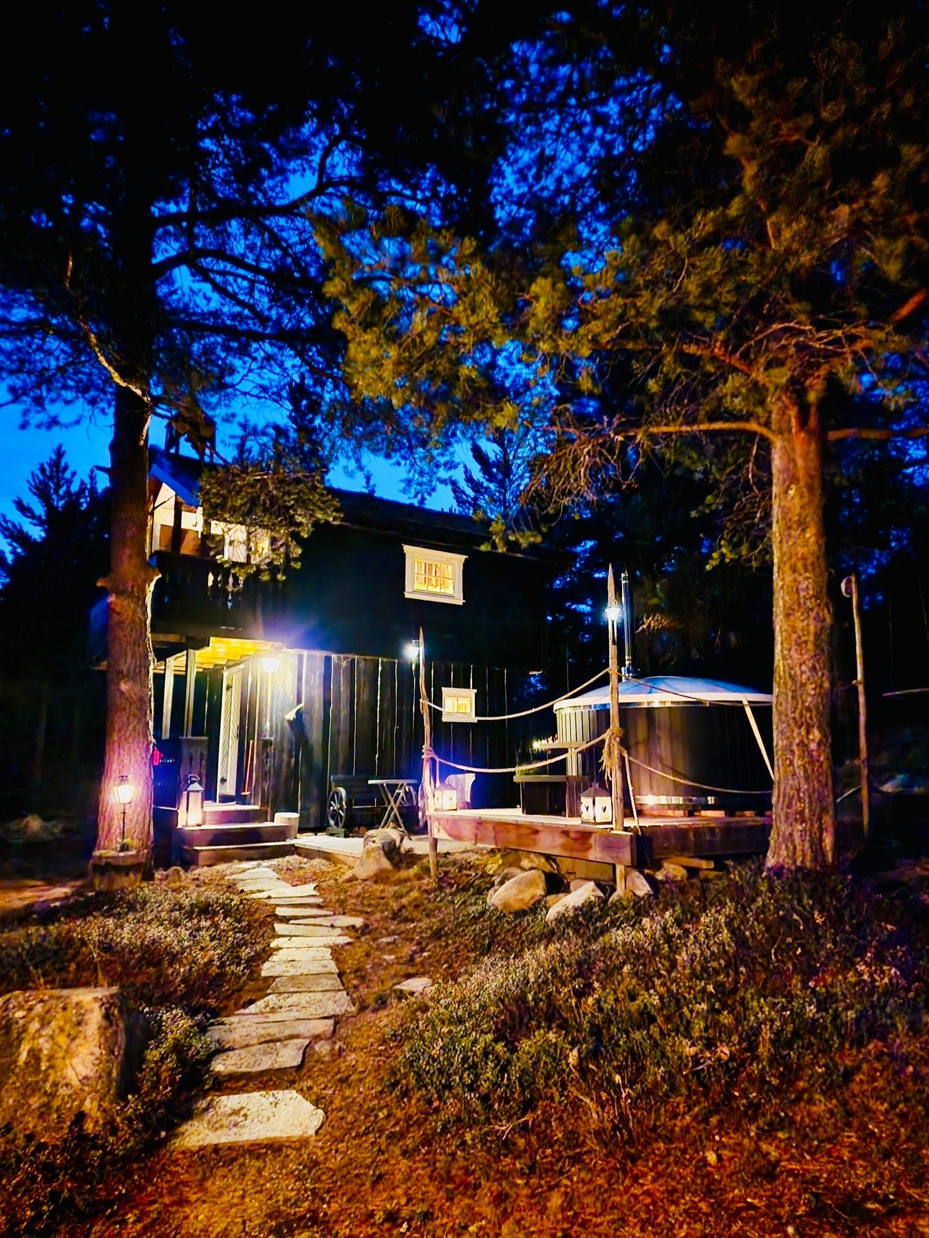 Selgers bilde. Galleribilde