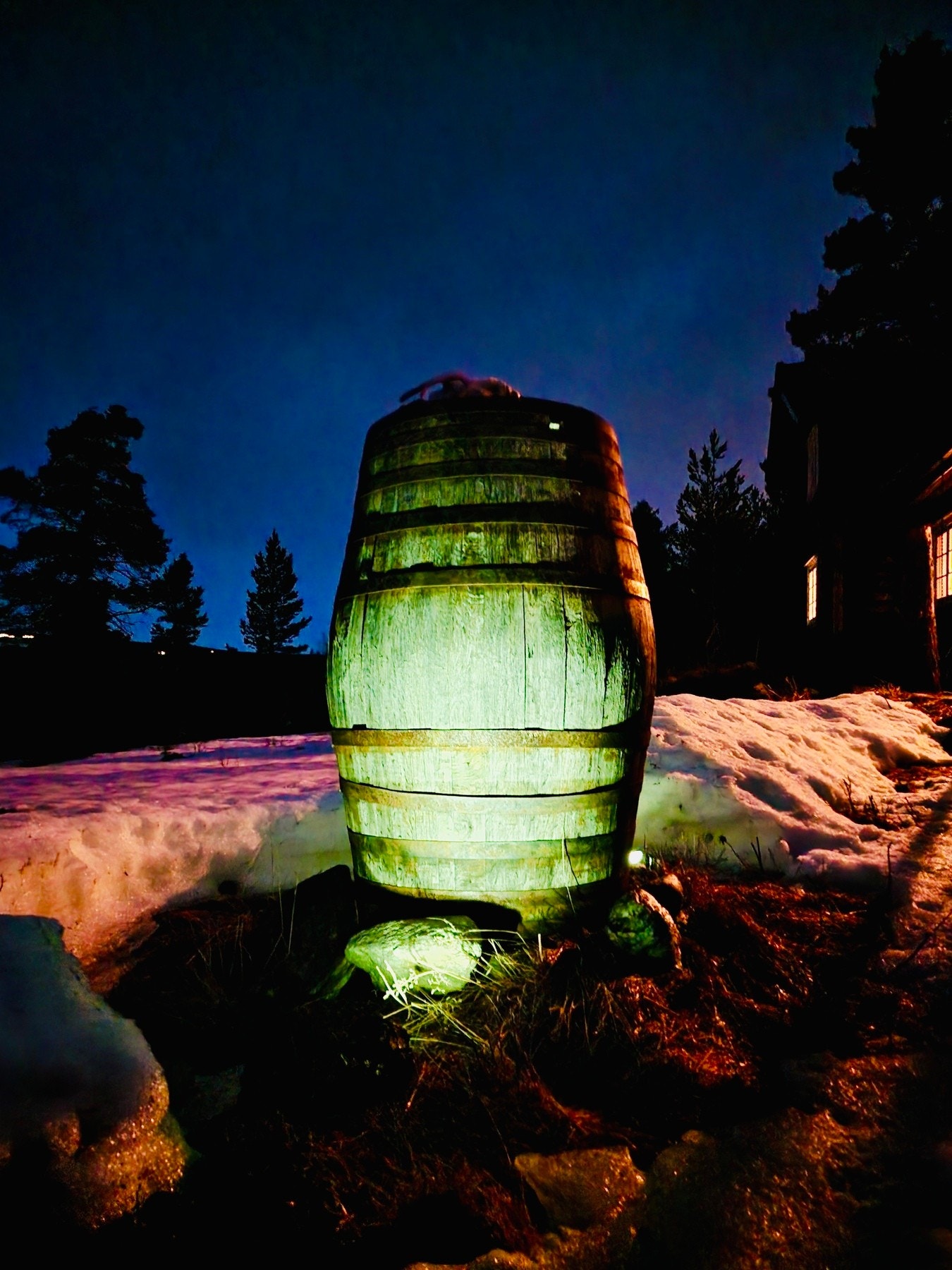 Selgers bilde. Galleribilde