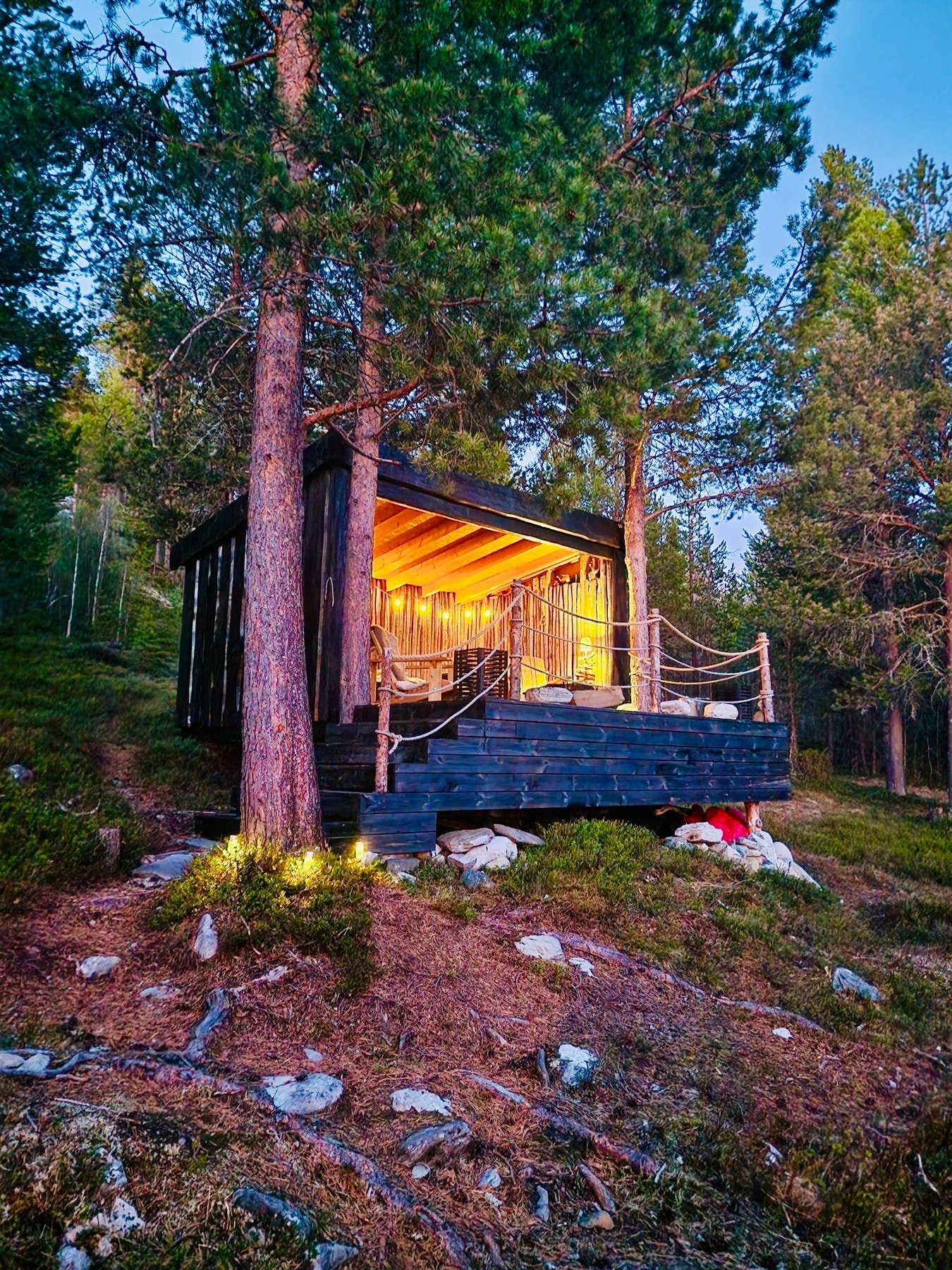 Selgers bilde. Galleribilde