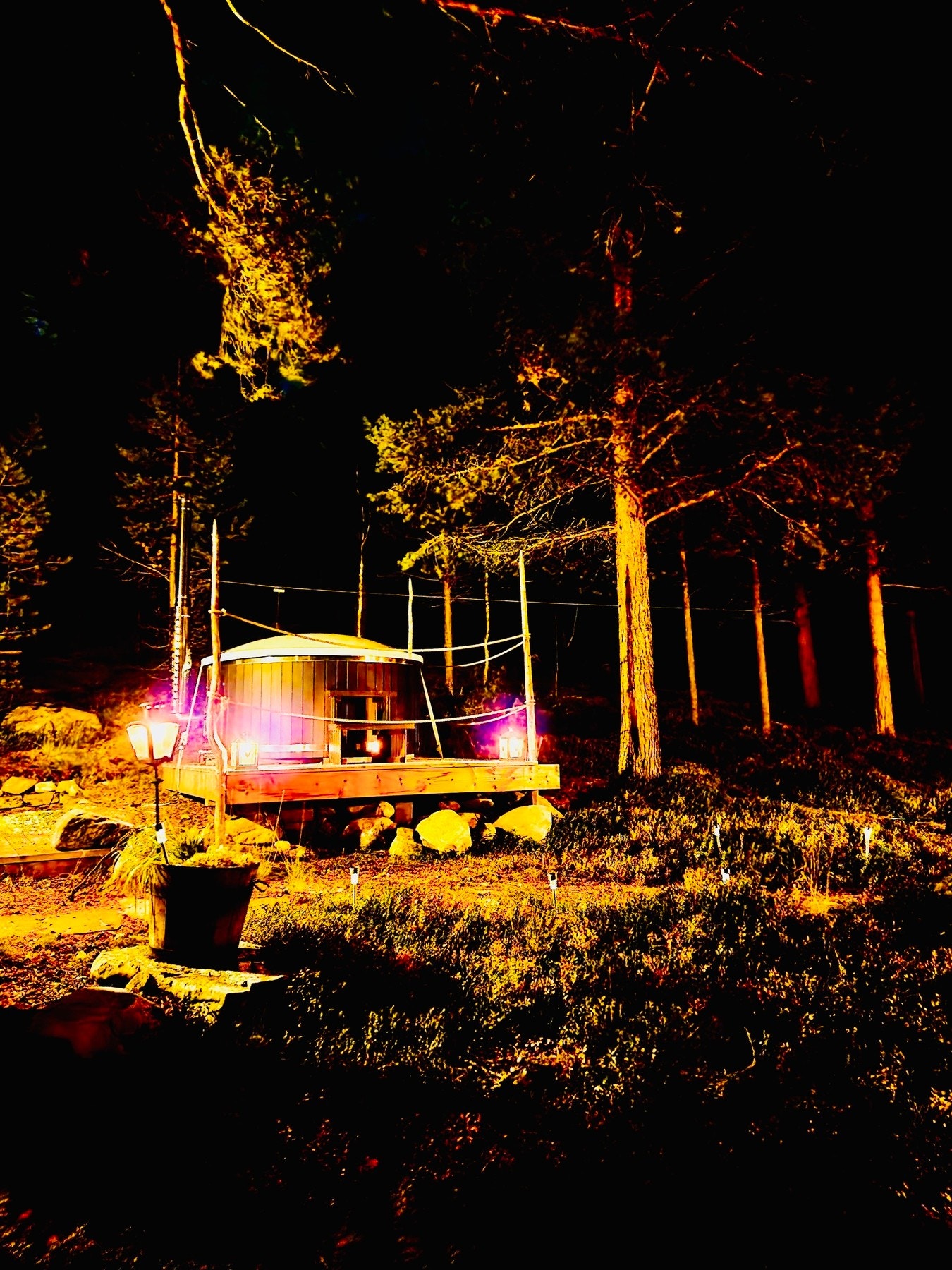 Selgers bilde. Galleribilde