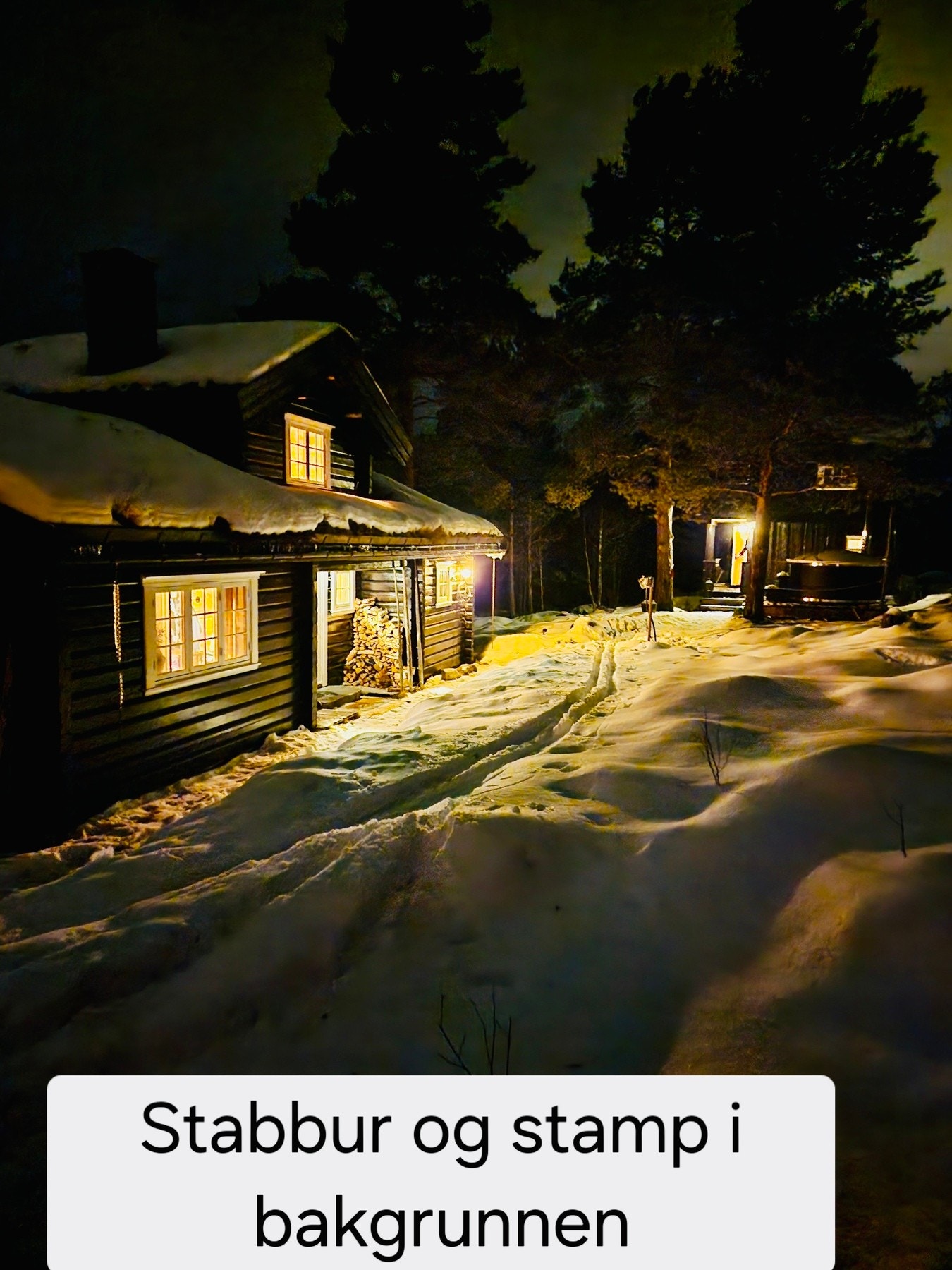 Selgers bilde. Galleribilde