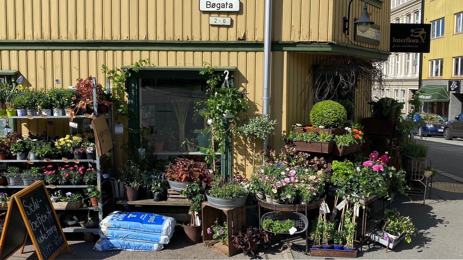 Kampen har flere hyggelige lokale forretninger og serveringssteder. Galleribilde