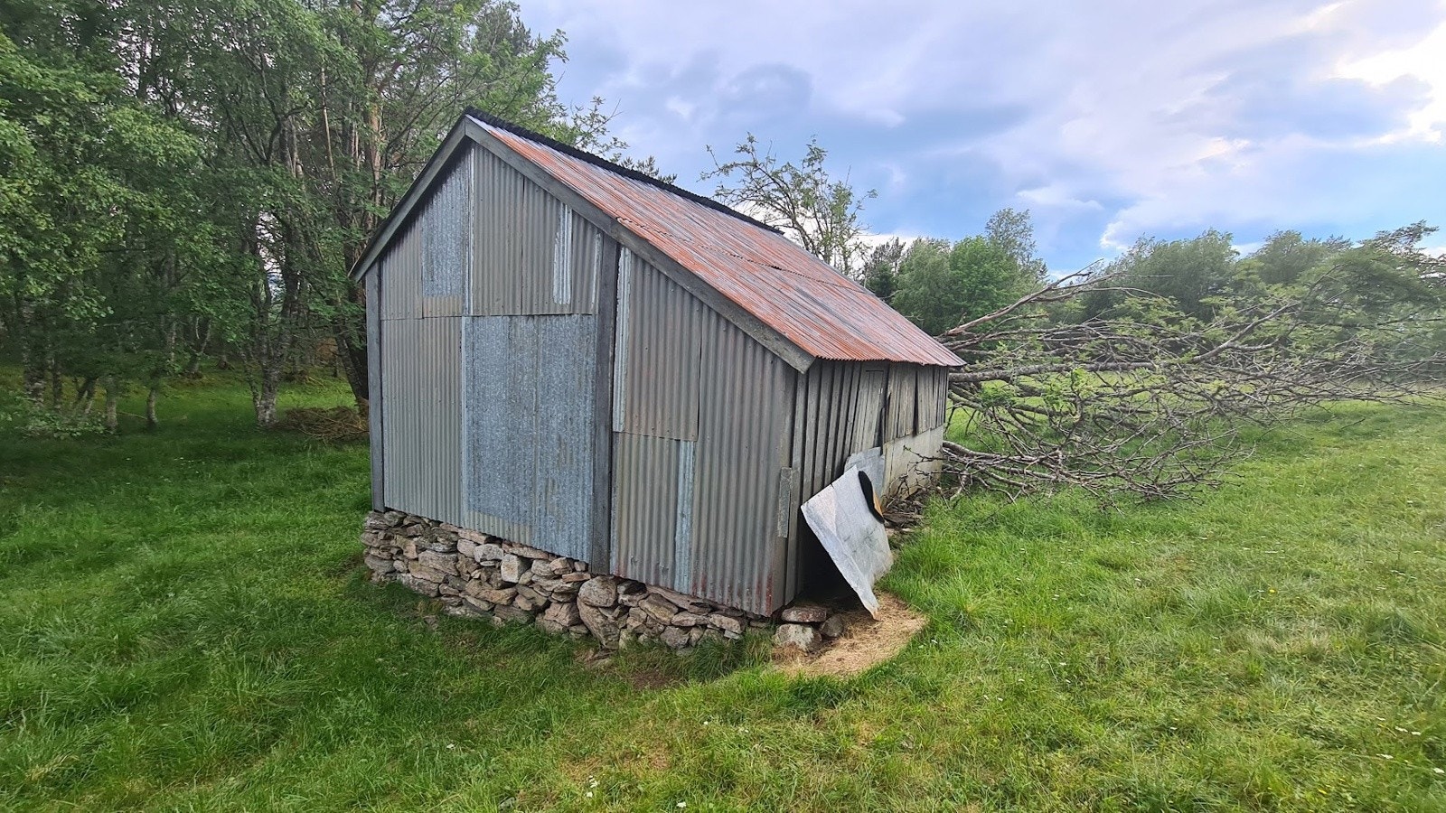 Sommerfjøs i utmarka Galleribilde