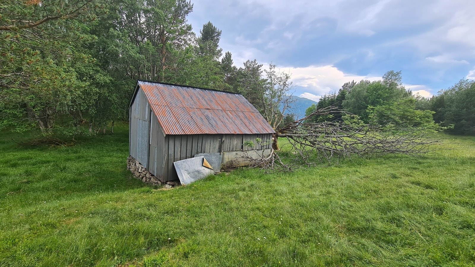 Sommerfjøs i utmarka Galleribilde