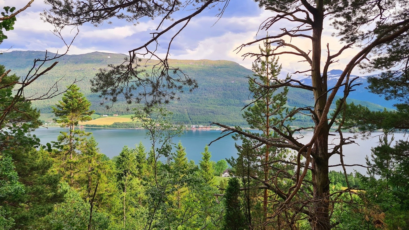 Område Galleribilde