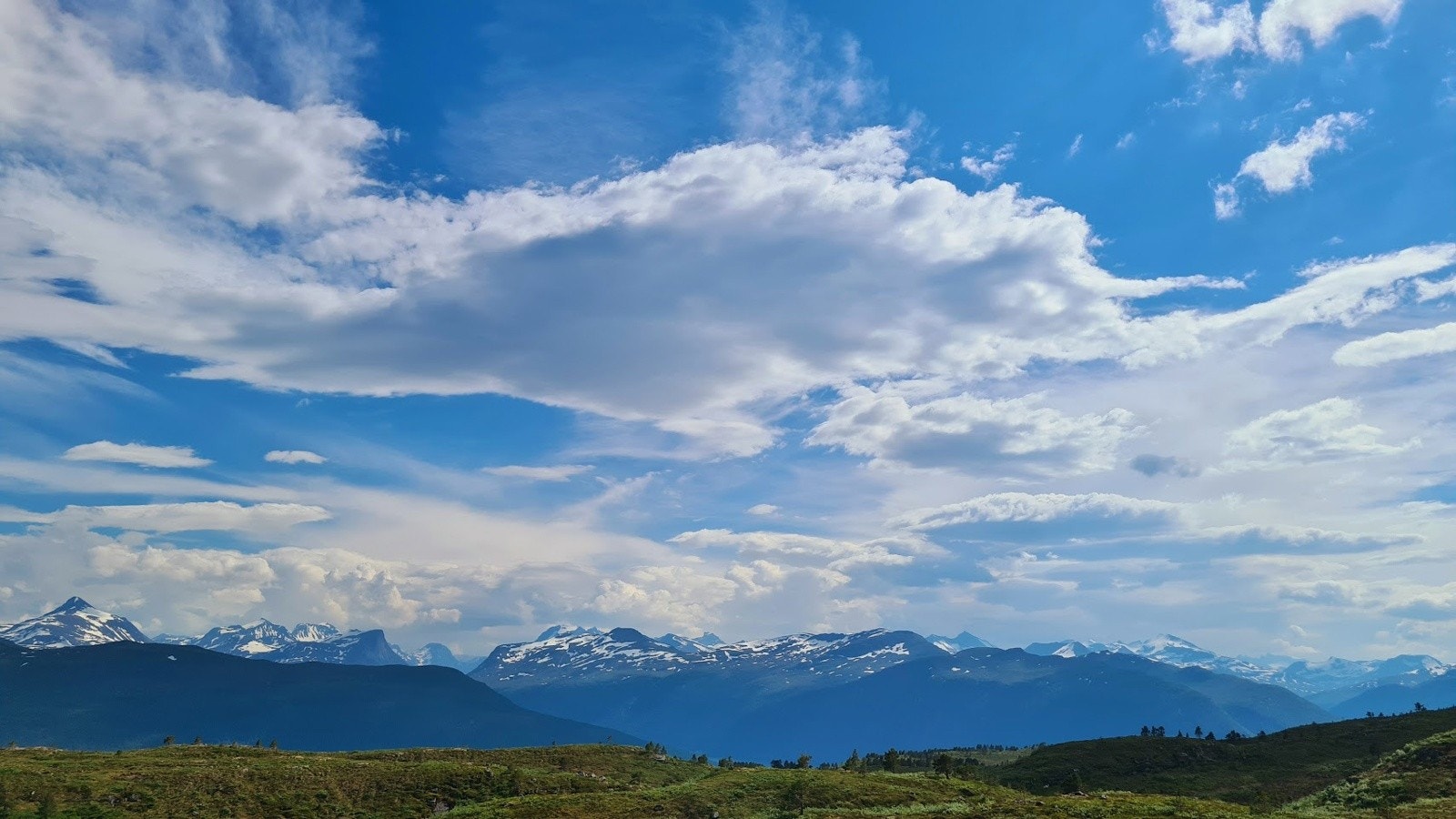 Område Galleribilde