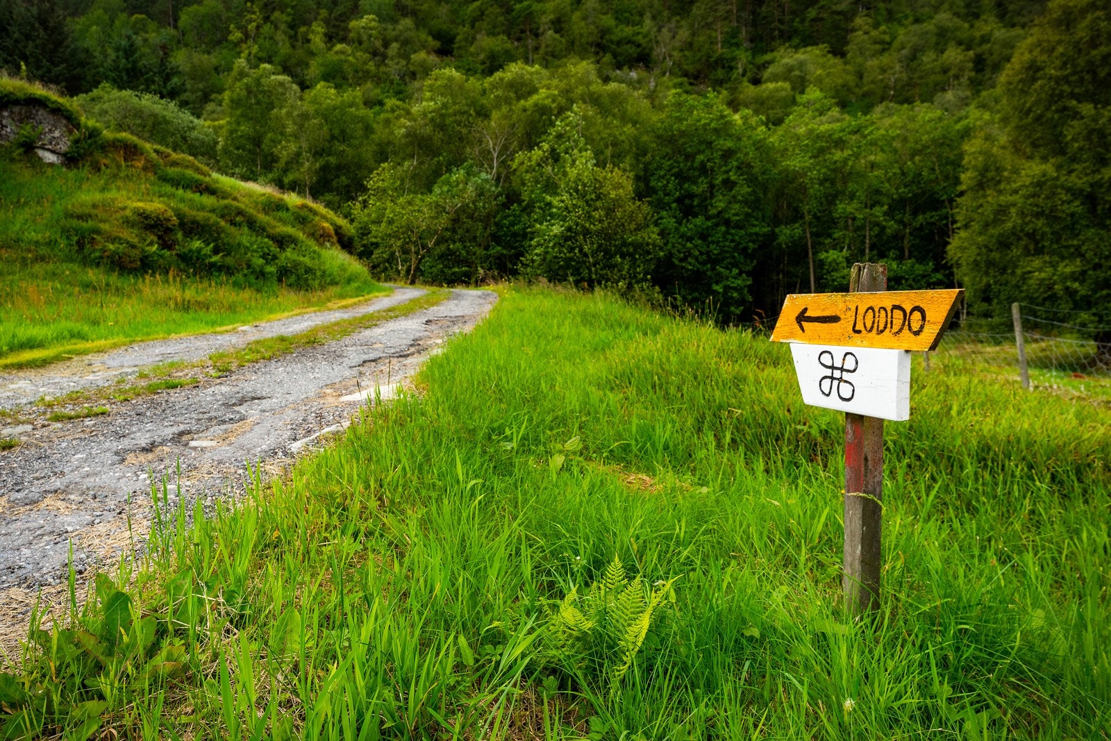 I nærområdet finner du fine turmuligheter i skog og på fjell. Galleribilde