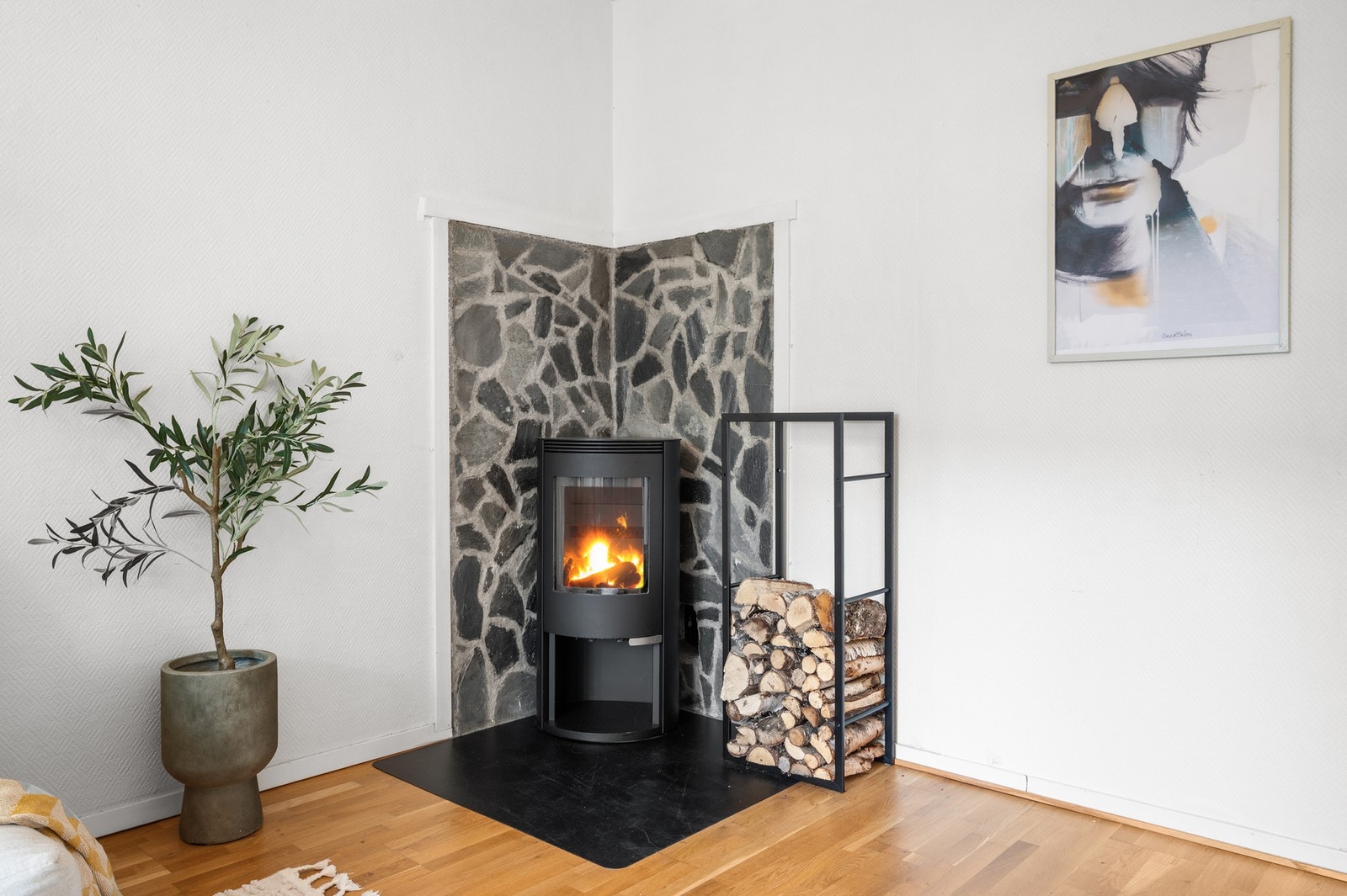 Oppvarming skjer med vedfyring og elektriske panelovner. Galleribilde