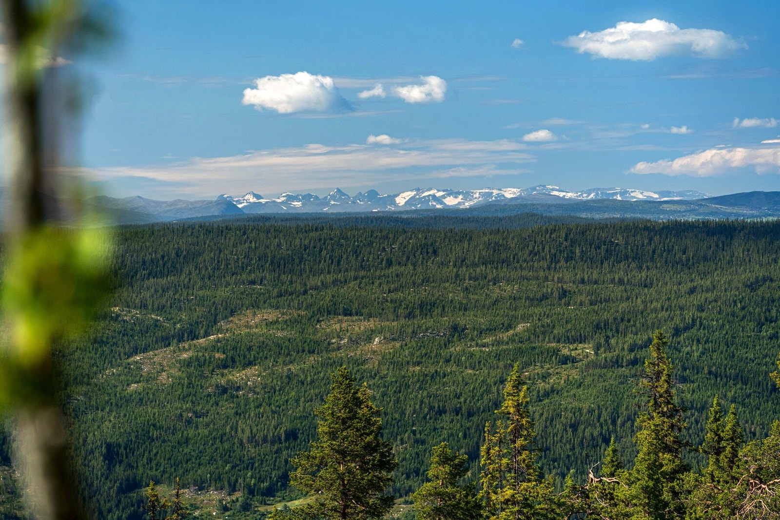 Fra tomten har du utsikt tilHallingskarvet, gullrekka på Ål med bl.a Reineskarvet og avsluttes med Skogshorn i Hemsedal. Galleribilde