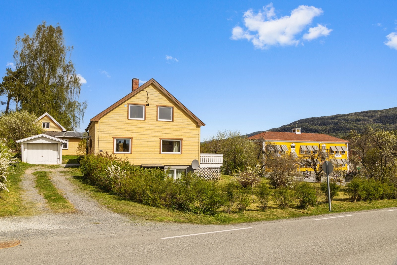 Romslig tomt med diverse busker og vekster. Galleribilde